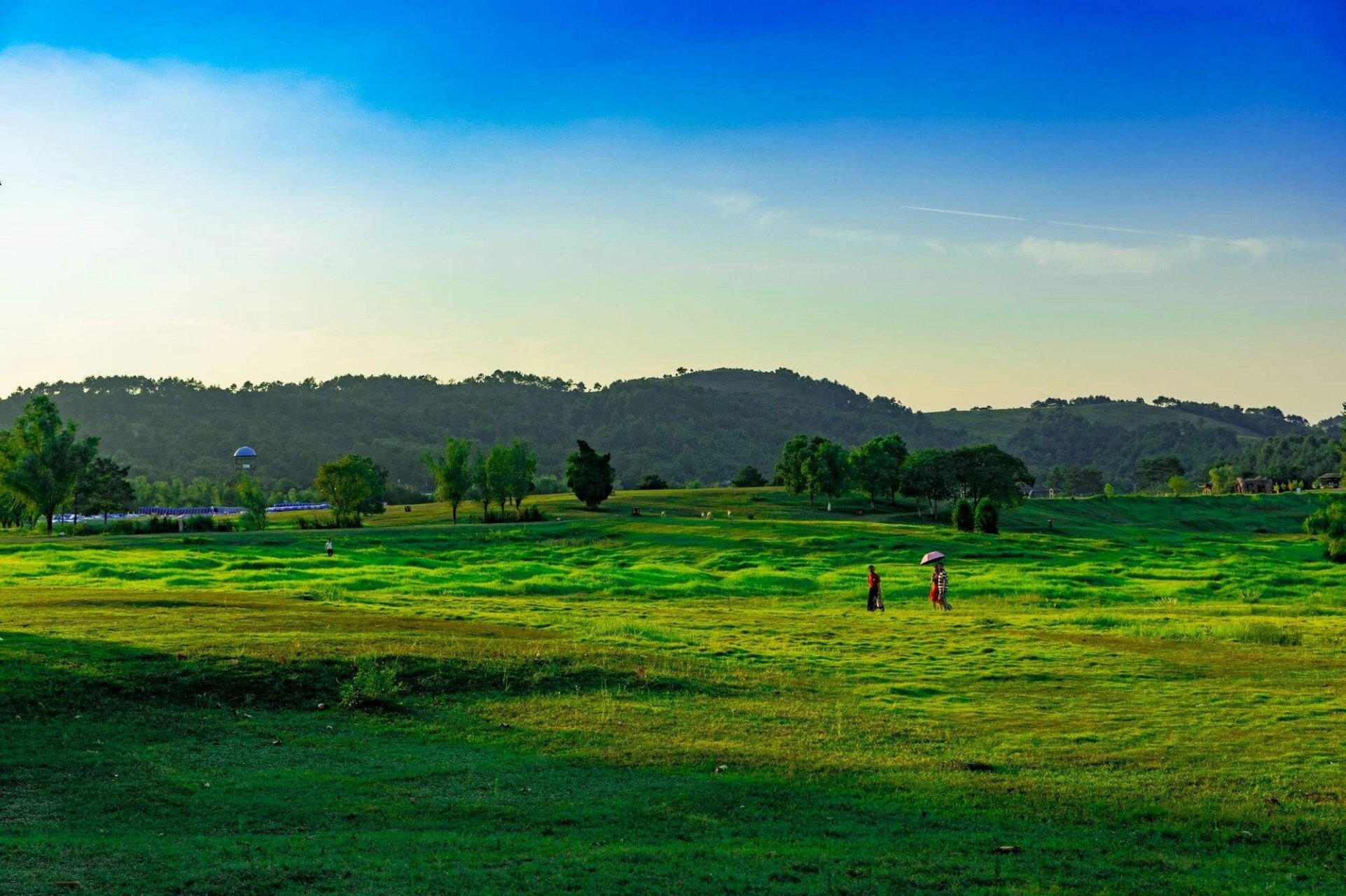 【景区介绍】96 木兰草原地处于湖北省武汉市黄陂区王家河街道聂家