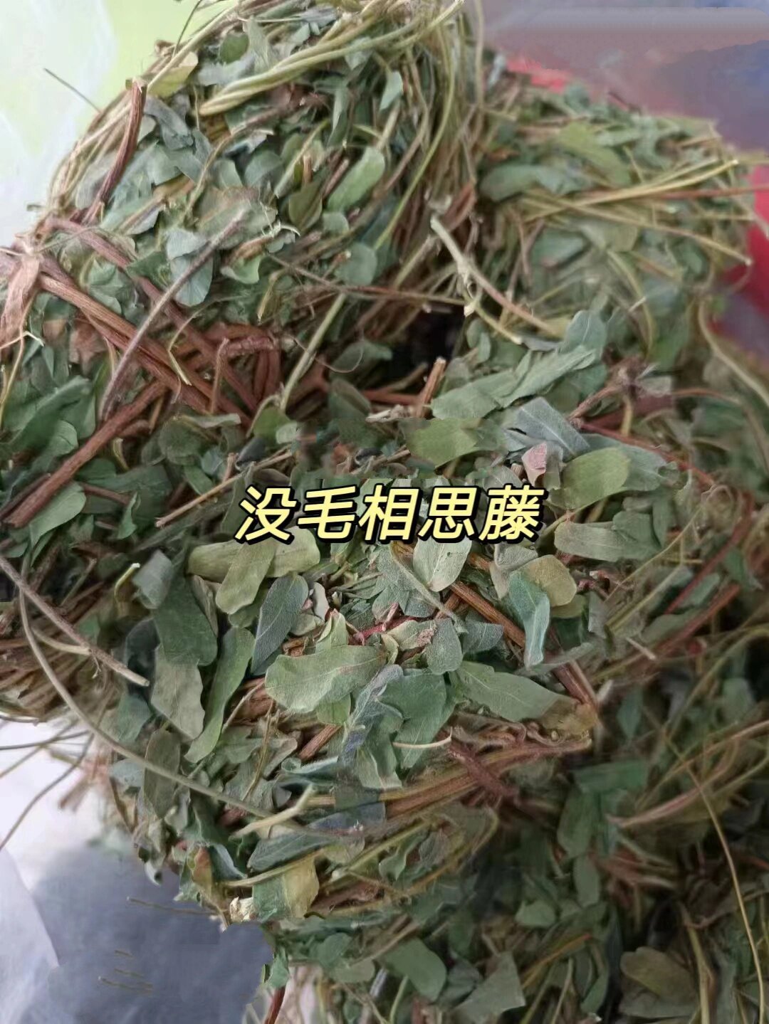 真假鸡骨草图片