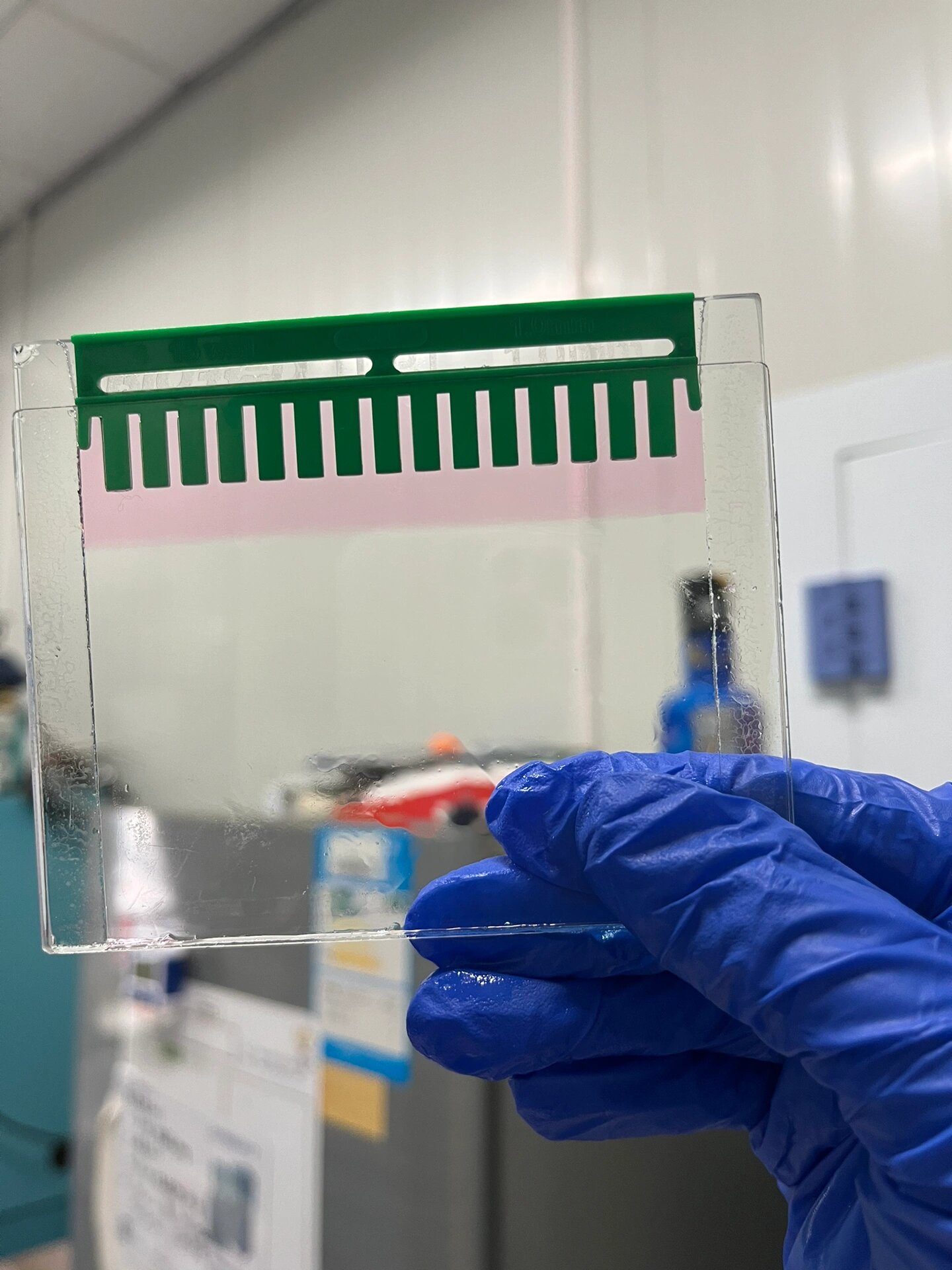 5ml/块胶,上层胶补满(1.65ml/块胶) 36615上样:雅酶多色