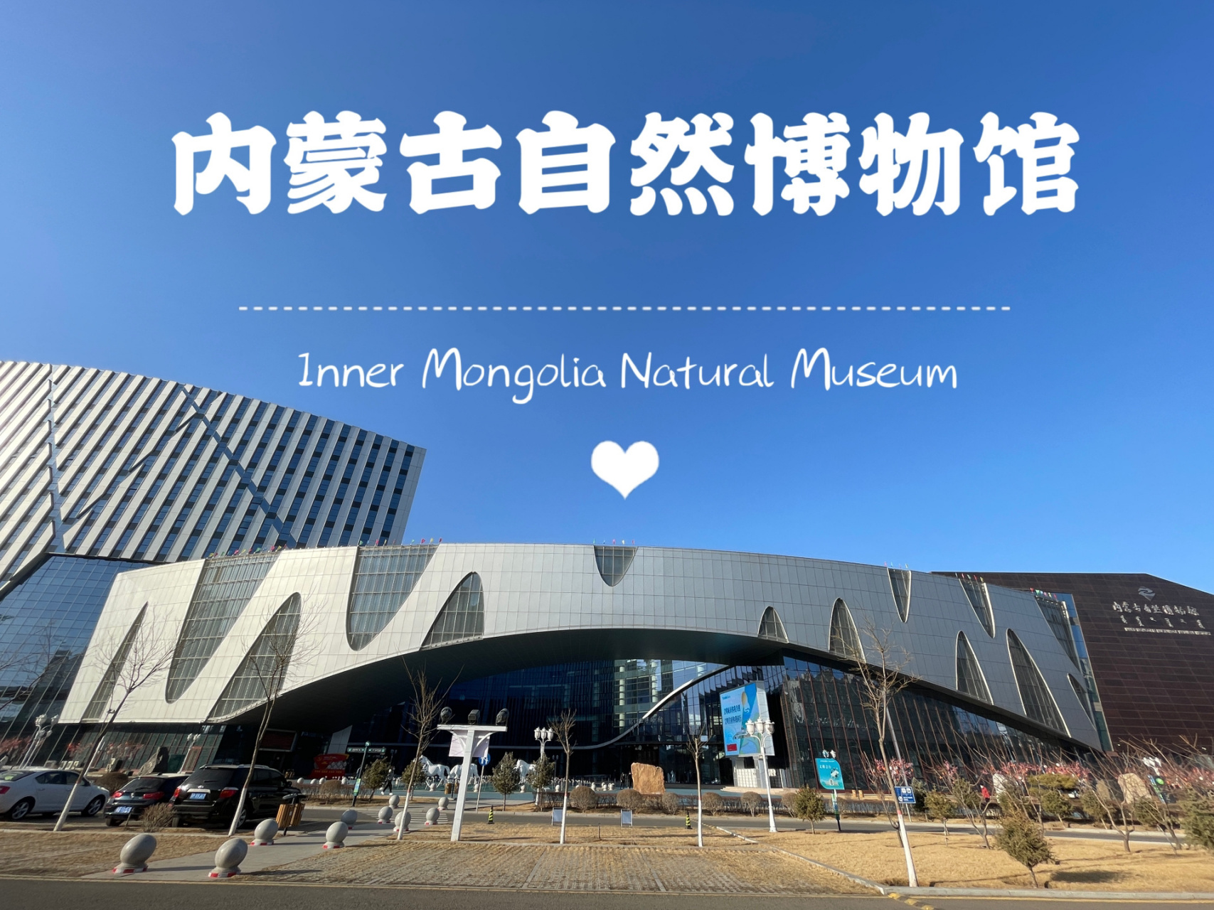 自然的力量|内蒙古自然博物馆 今日新地标—内蒙古自然博物馆 内蒙古