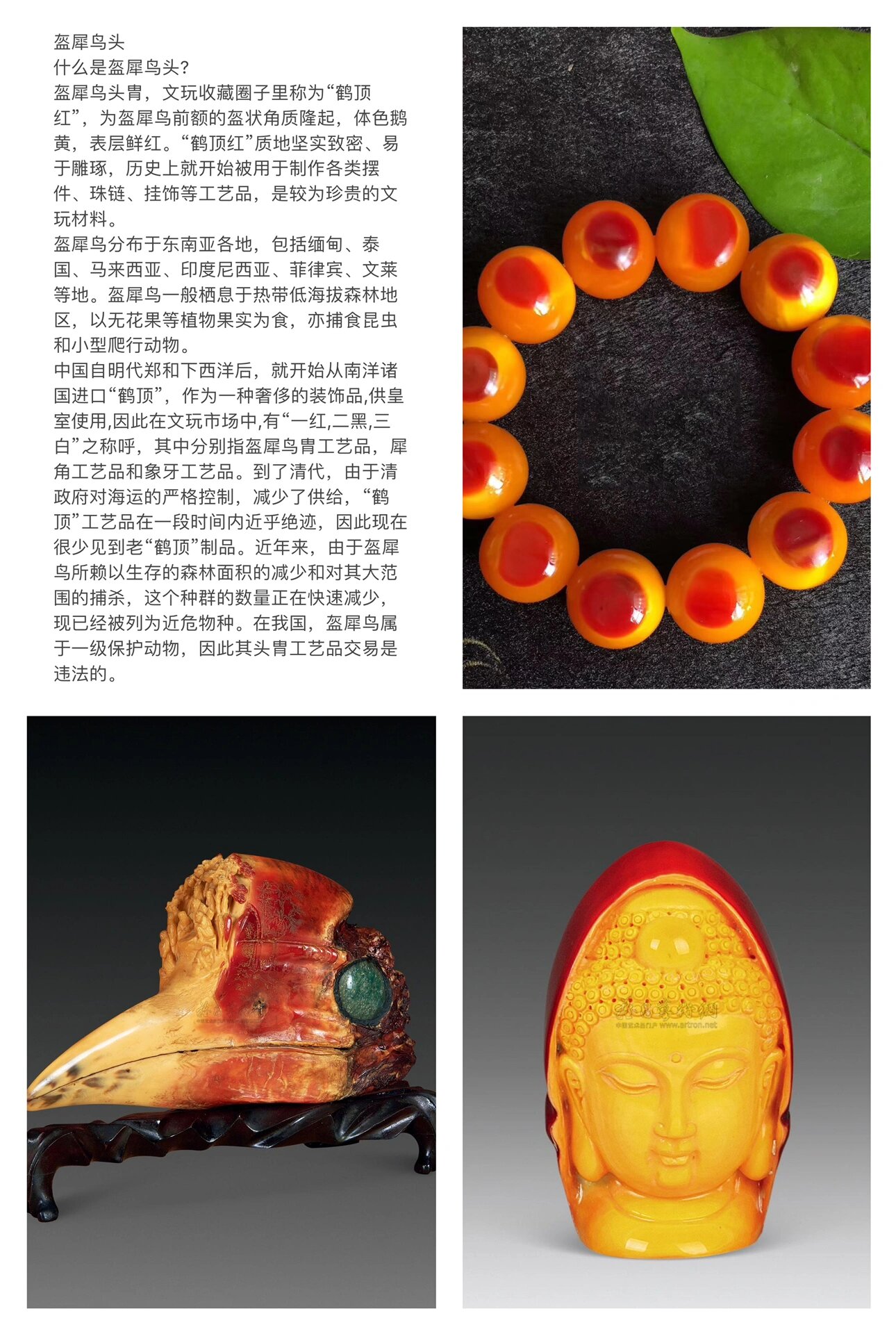 盔犀鸟头胄,文玩收藏圈子里称为"鹤顶