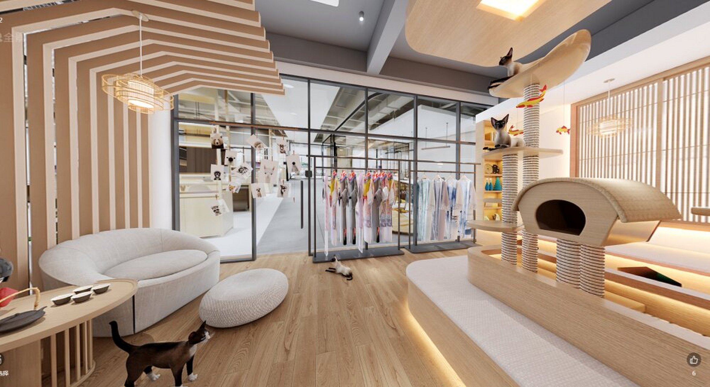 这里将为你分享一些关于猫咖馆设计装修的指南,帮助你打造一个独特,有