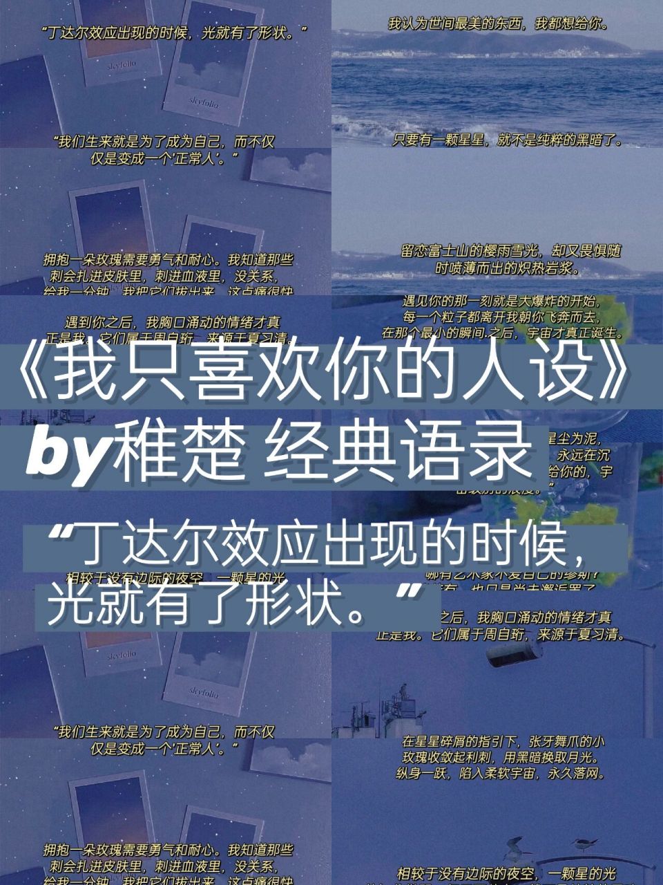 " 78 "因为无论是宇宙还是玫瑰,我都想给你.