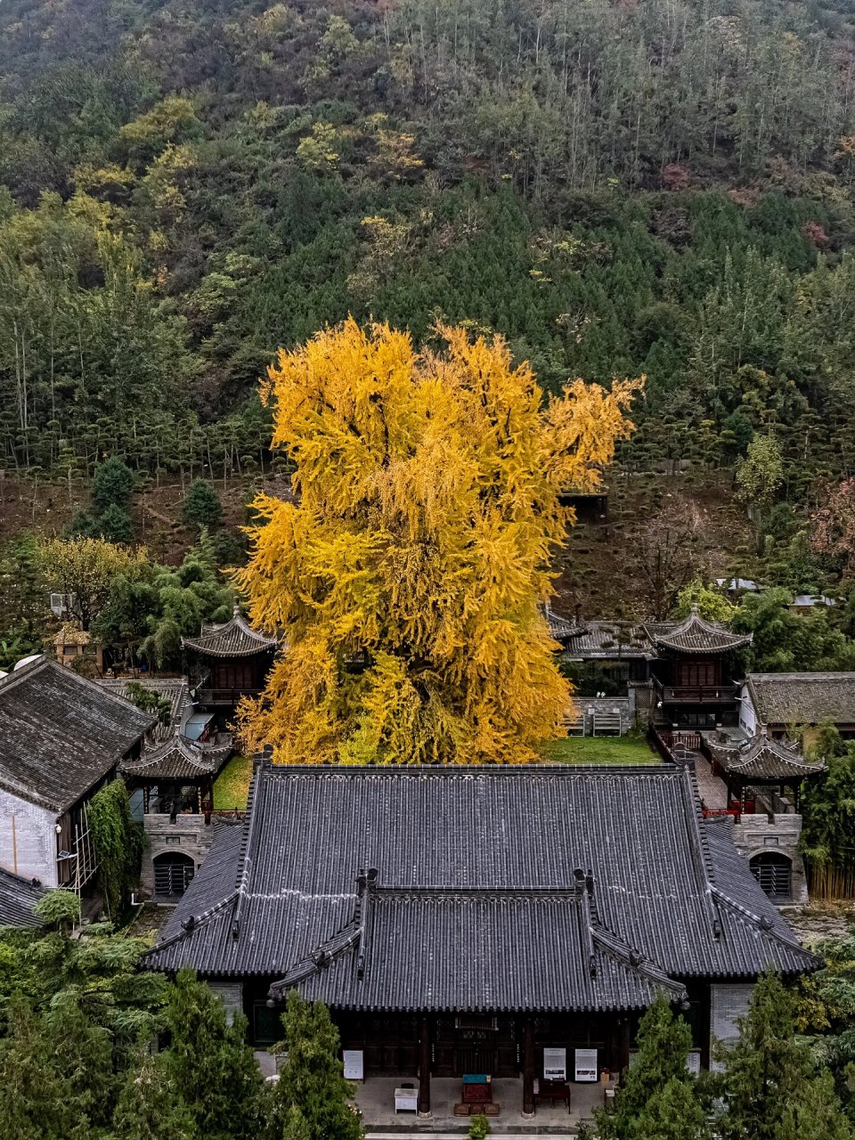 长安沣峪口图片