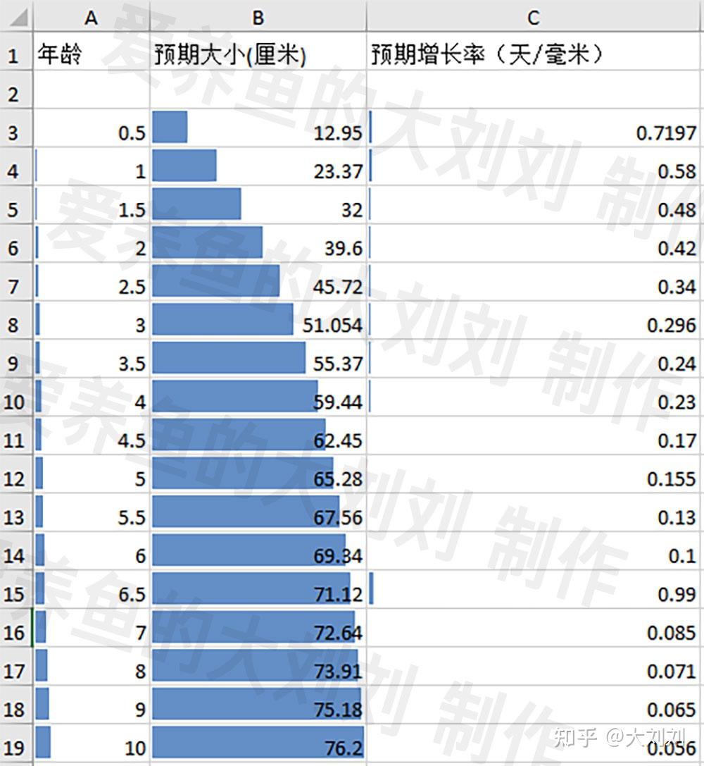 锦鲤的生长速度到底有多快可以长到多大