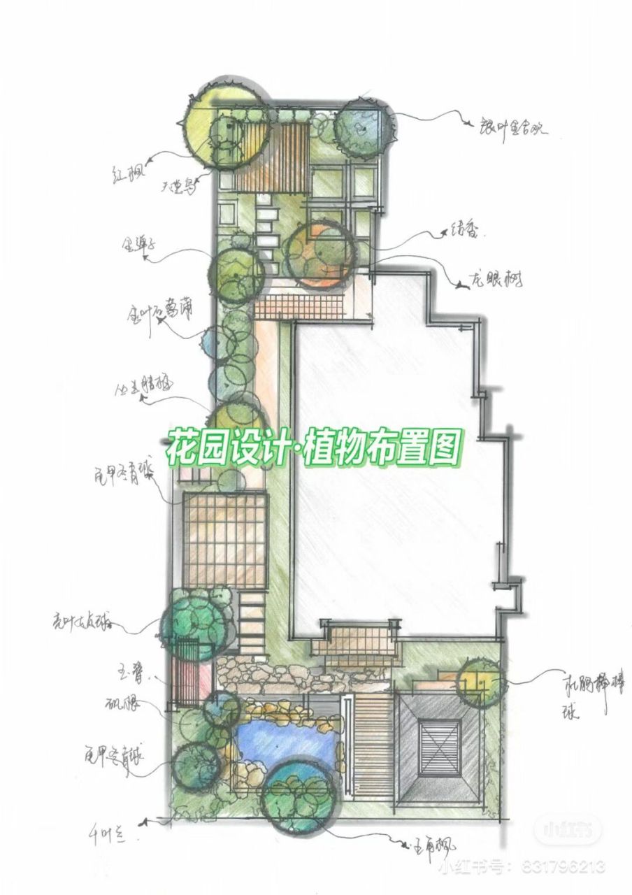 庭院设计·手绘植物布置图