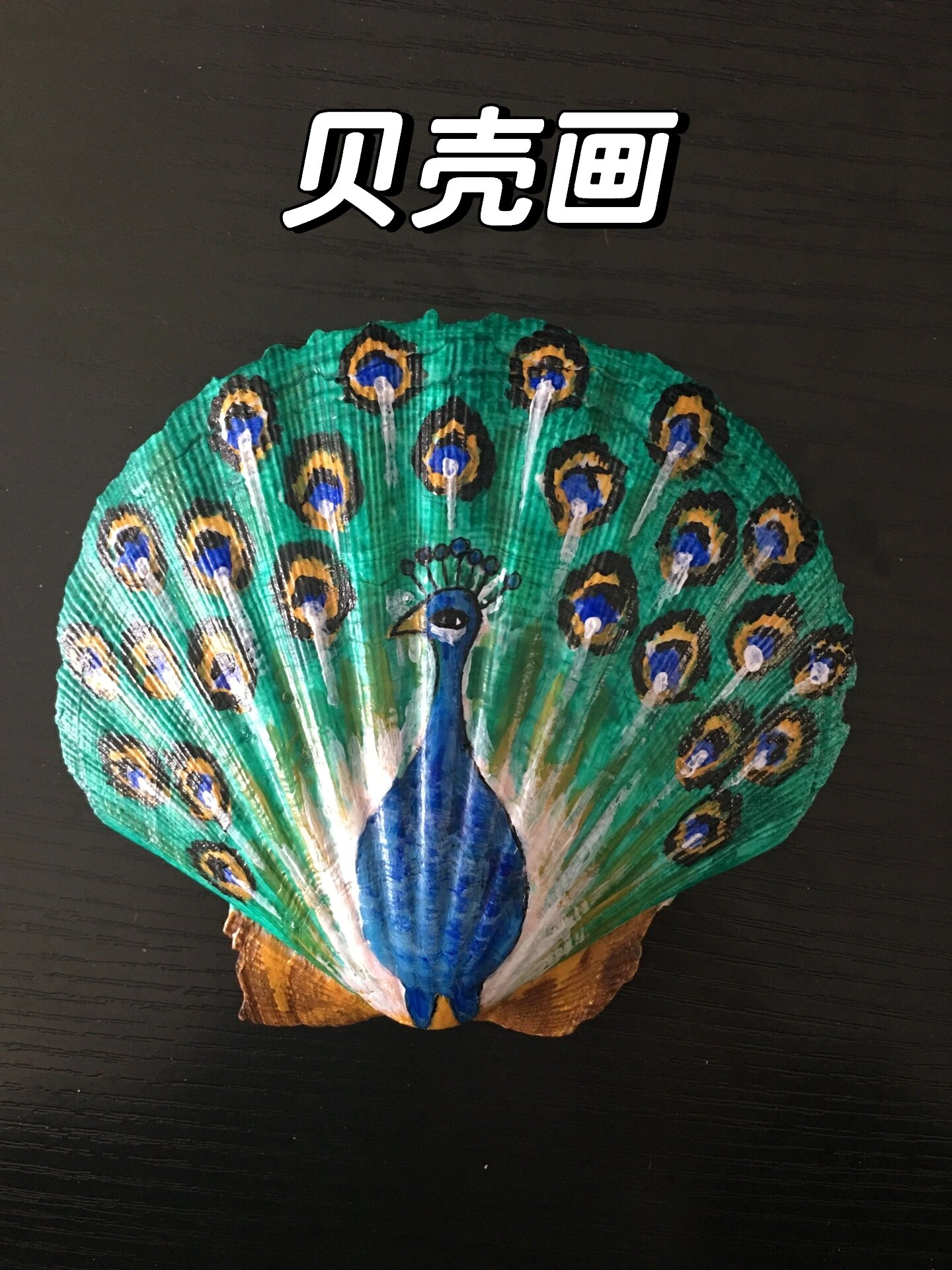 发个17年的库存-贝壳画-孔雀08丙烯颜料