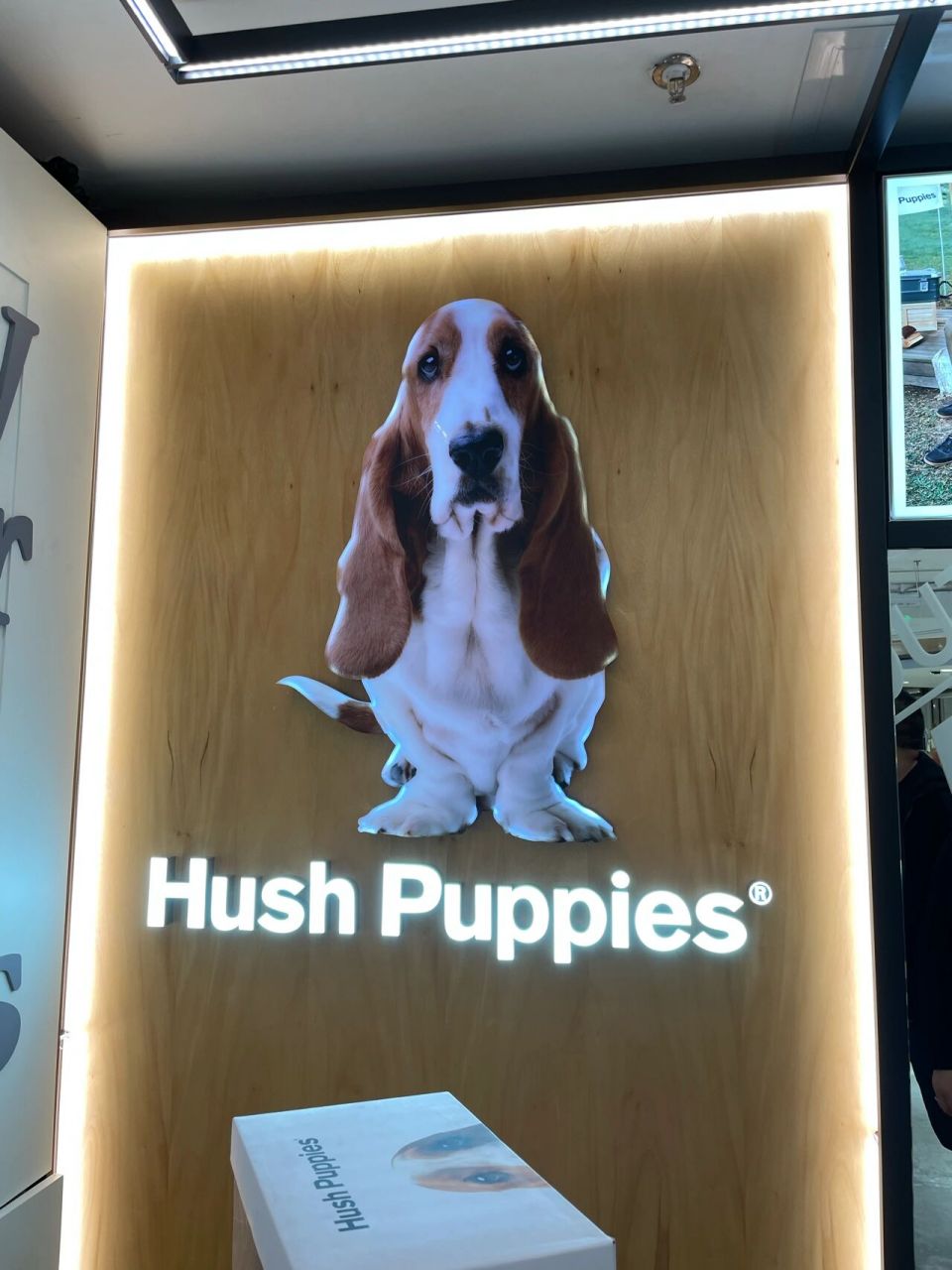 暇步士狗狗也太可爱了98 买了两双鞋子一个包 送了一个狗狗 里面