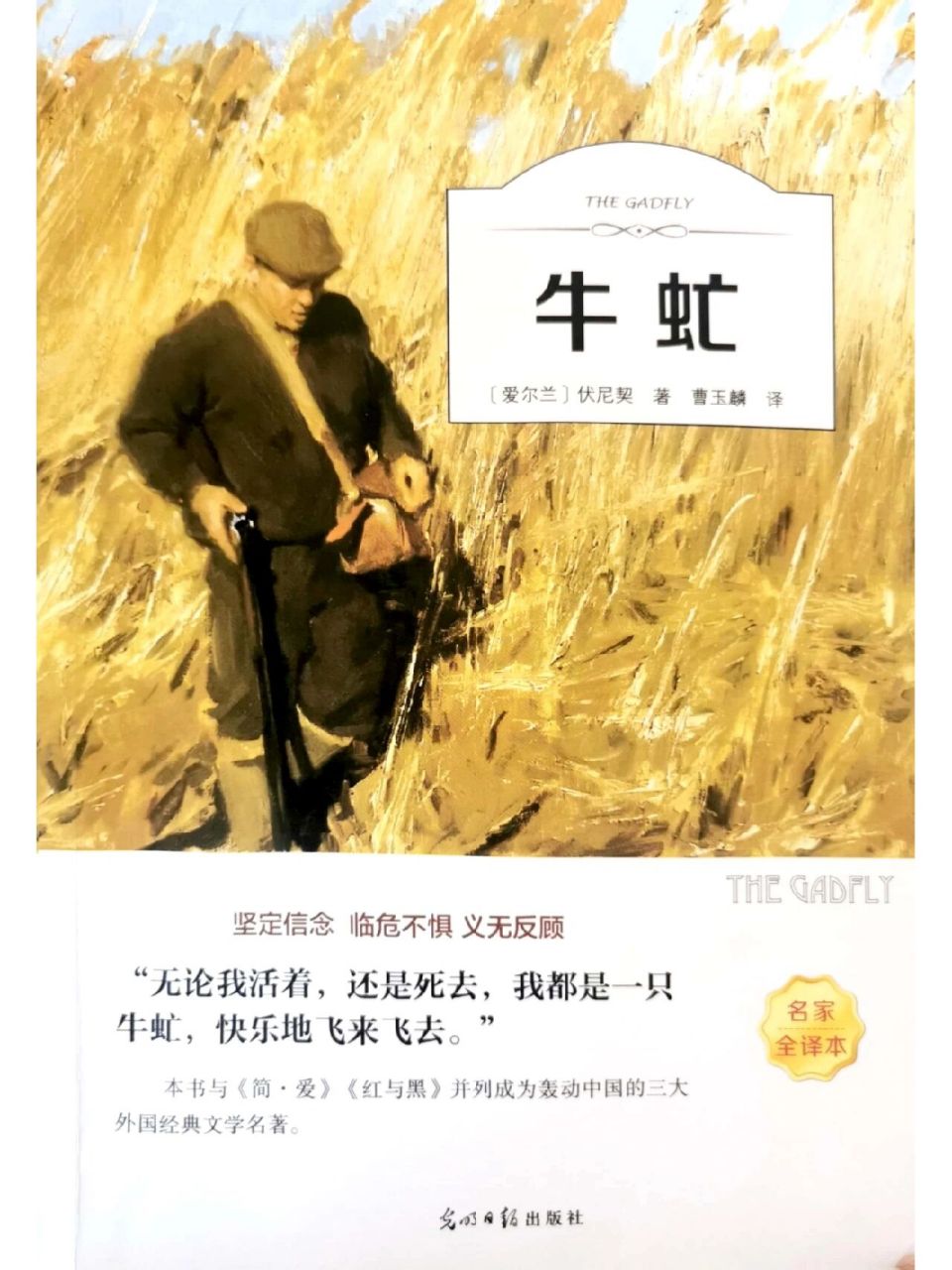 《牛氓》|坚定信念,义无反顾 一,作者简介 	 伏尼契,英国进步资产阶级