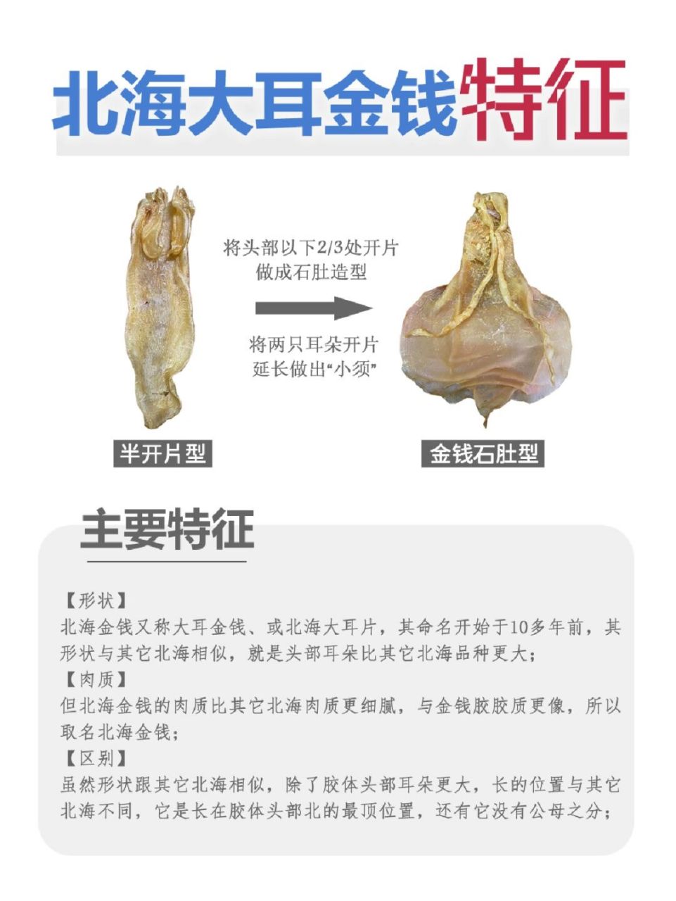 揭秘北海大耳金钱鱼胶 【形状】 北海金钱又称大耳金钱,或北海大耳片