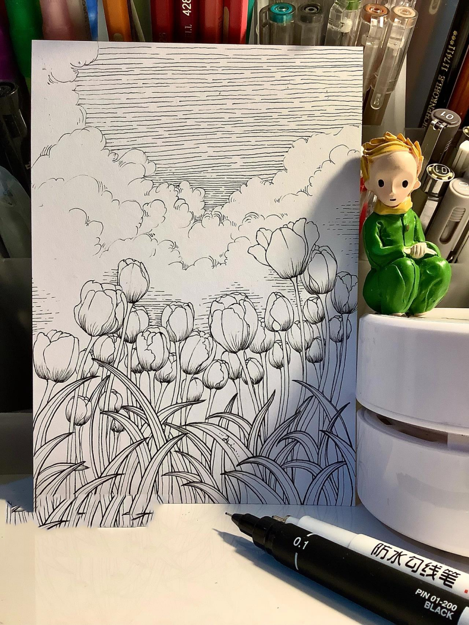 原创黑白线描针管笔手绘郁金香 蓝天白云粉红色的郁金香开在嫩绿中绿