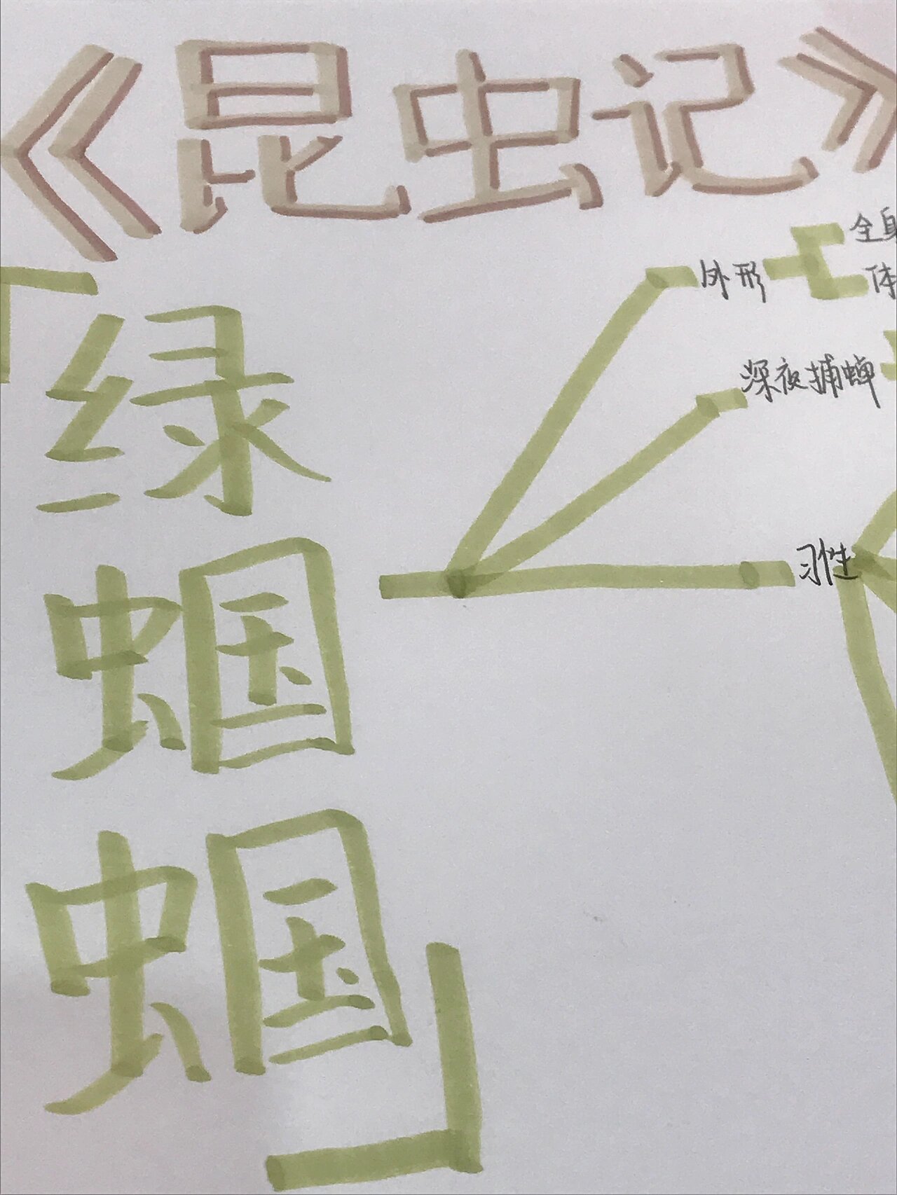 《昆虫记》绿蝈蝈思维导图