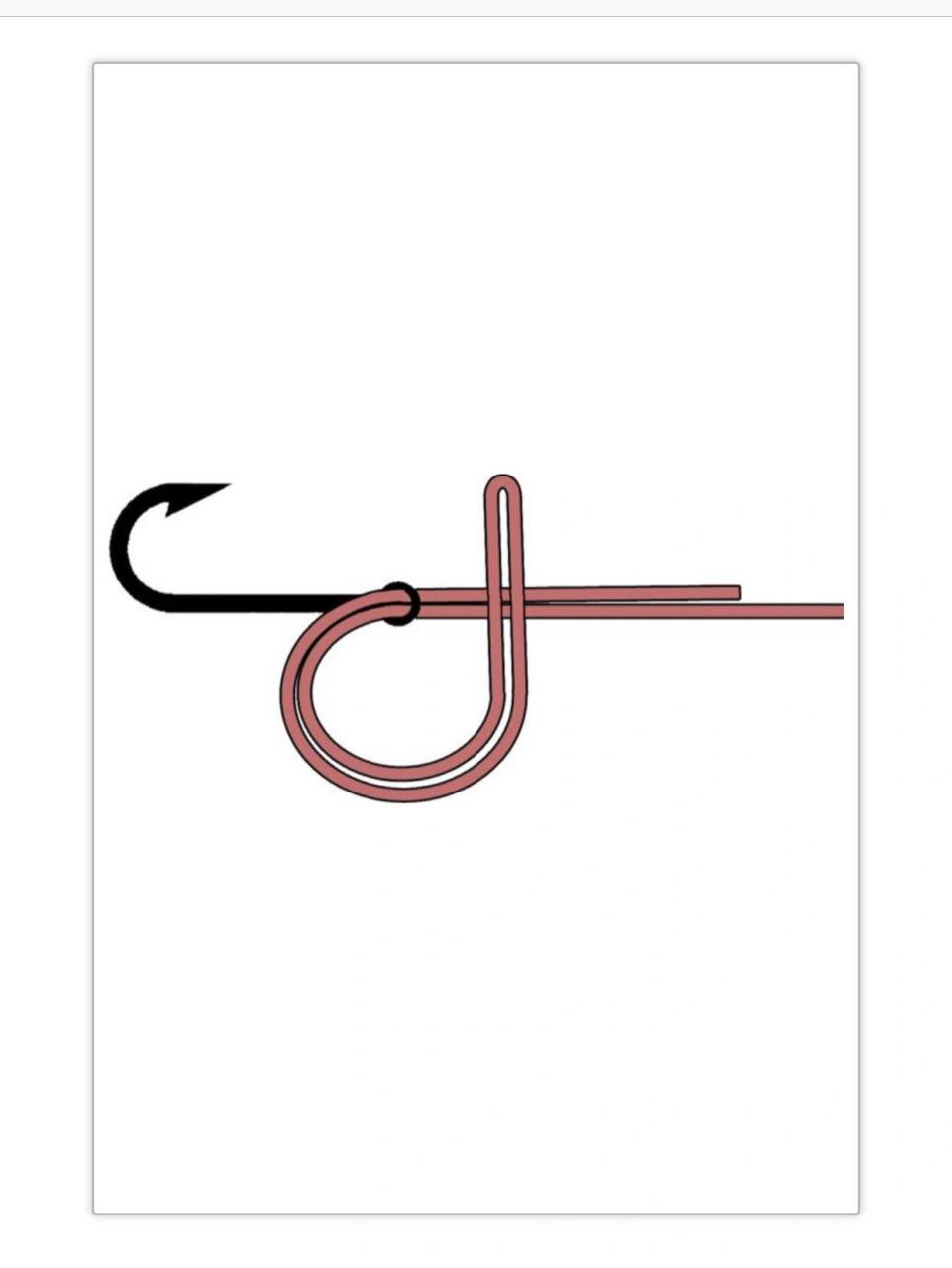 钓鱼路亚绳结绑法教程【帕洛玛结】 02今天分享的是帕洛玛结～ 02