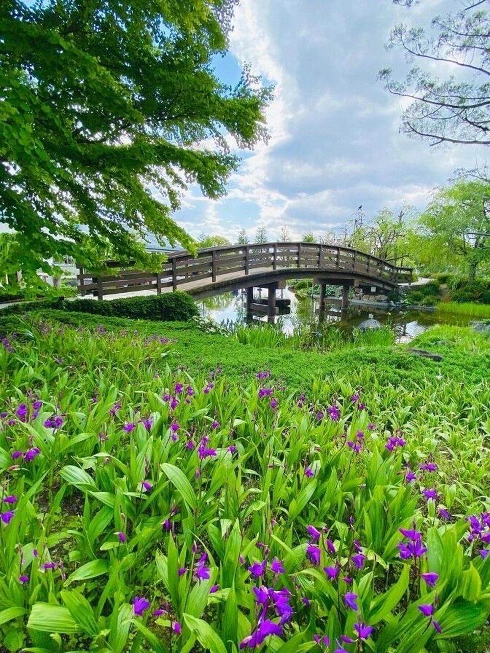 【草津市立水生植物公园水之森】是一处三面环湖,视野特别开阔的公园