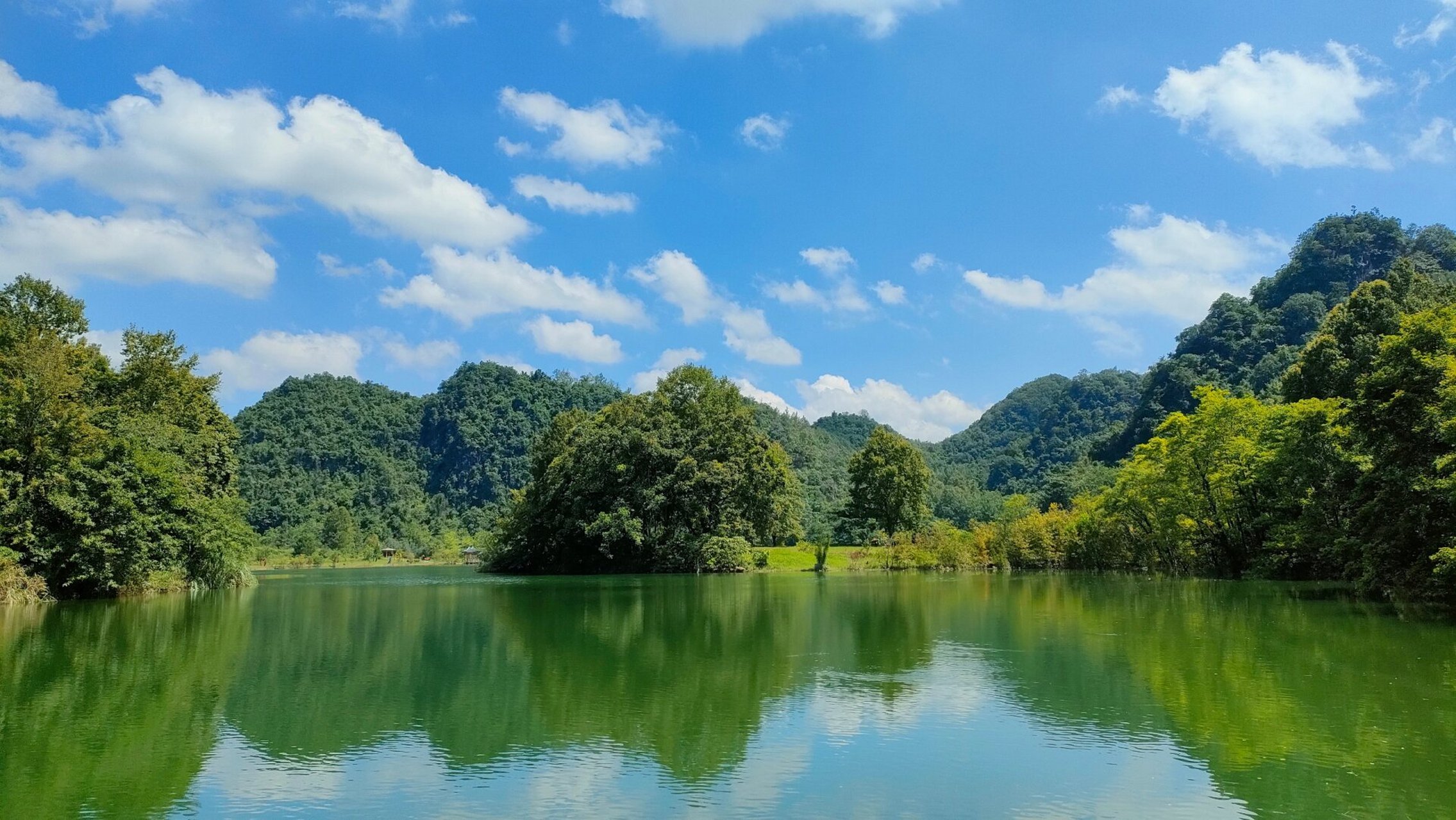 德保红叶森林公园 今天去了德保红叶森林公园 门票通过高德地图中携程