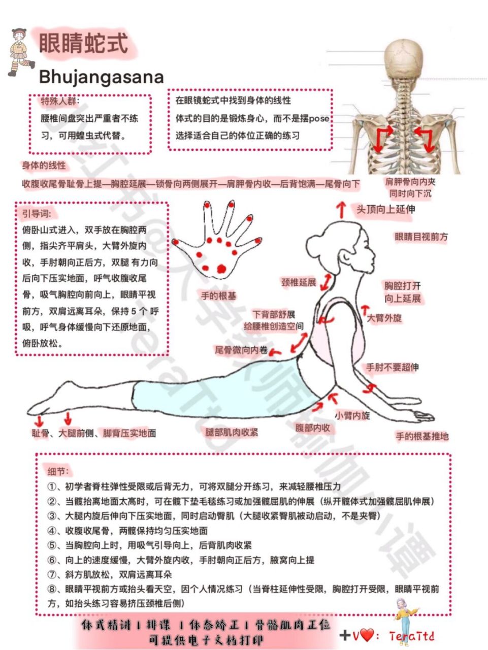 蛇王式瑜伽图片