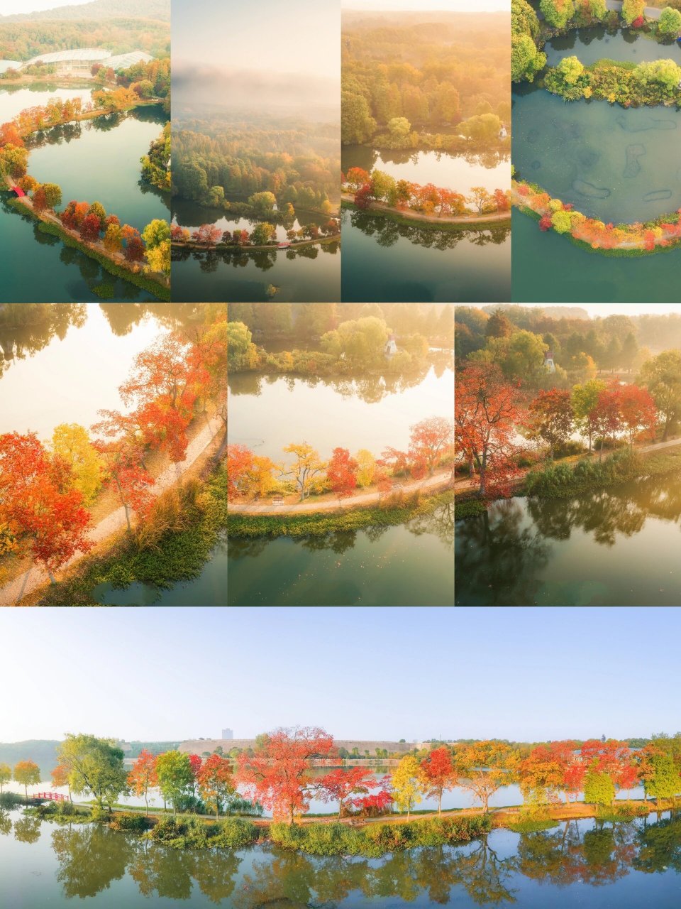 南京植物园前湖秋色 前湖乌桕堤,位于南京中山植物园南园前湖畔,仿佛