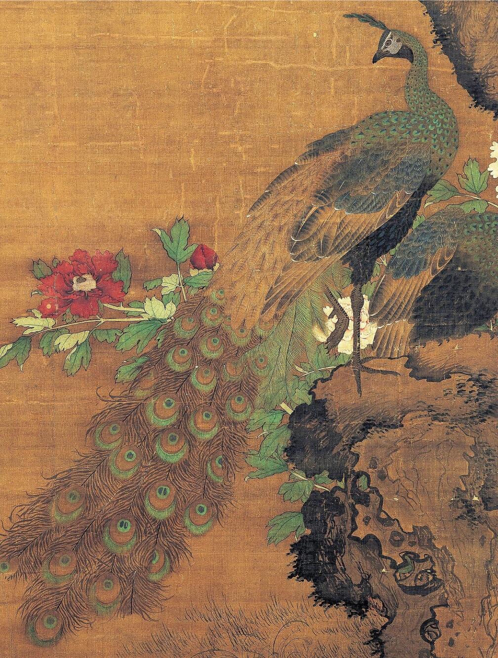 明画中的孔雀🦚 吕纪vs陆治vs林良