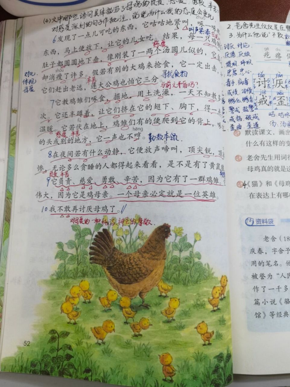 【备课笔记】四下语文《母鸡》