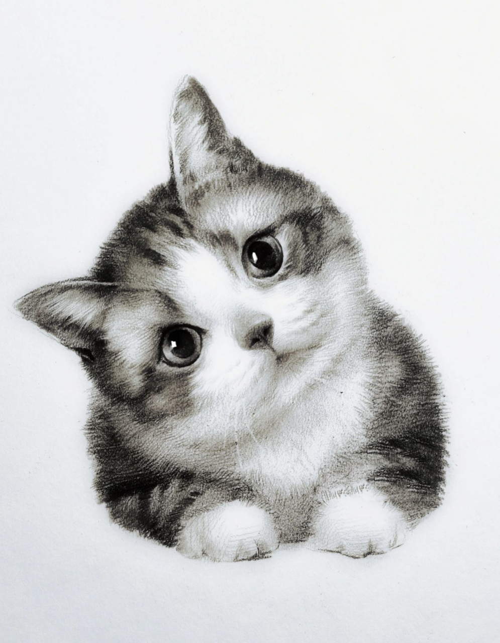 小猫咪——绘画步骤