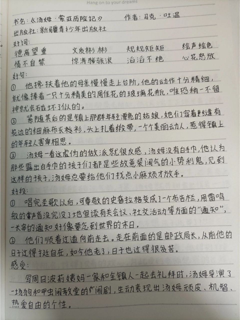 汤姆·索亚贝基图片