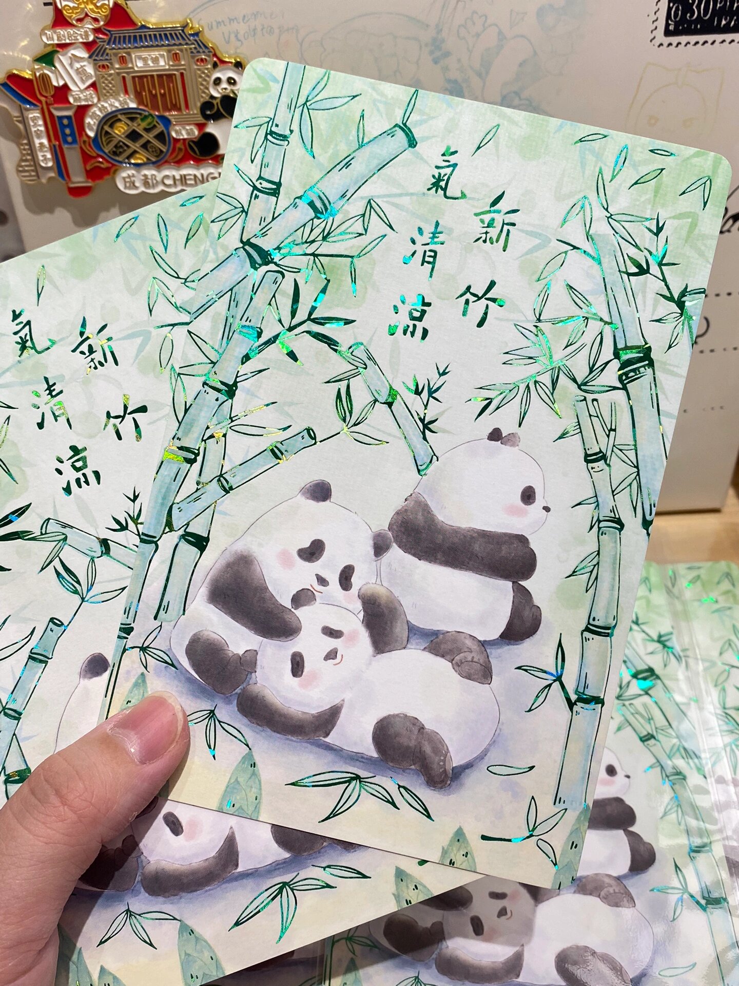 熊猫明信片来啦
