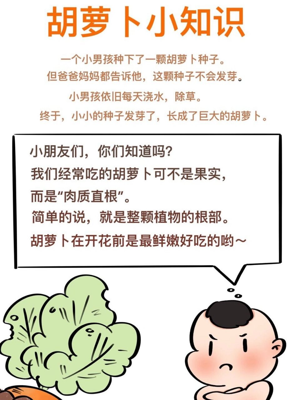 手绘 —— 亲子绘本故事"胡萝卜" 幼儿园让小朋友们准备有关萝卜的