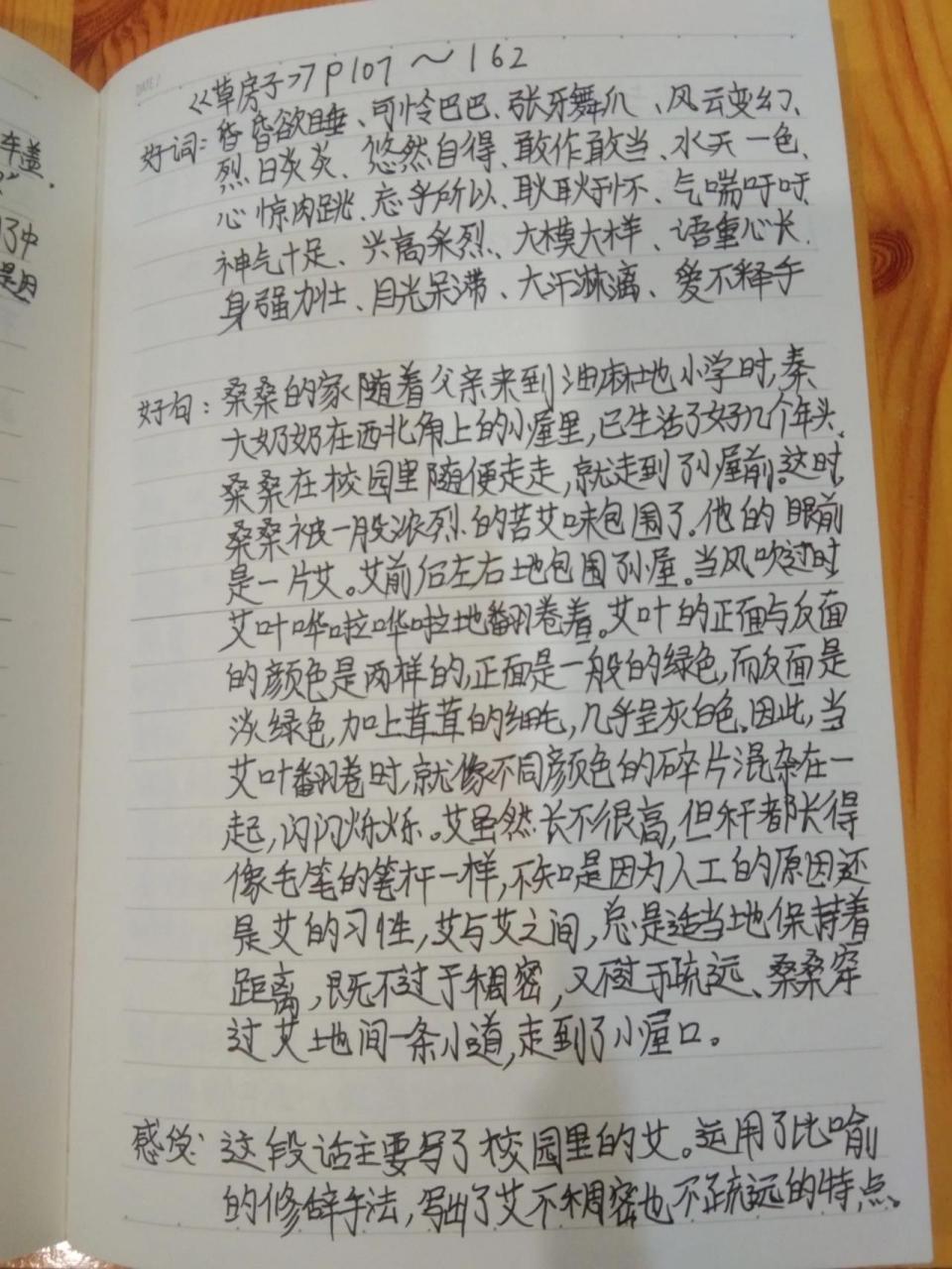 《草房子》好词好句摘抄 好词好句摘抄