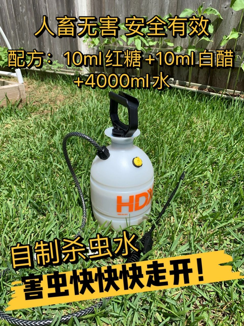 自制一桶人畜无害的杀虫水,防害虫驱虫 讲真的,实在忍受不了蔬菜们被