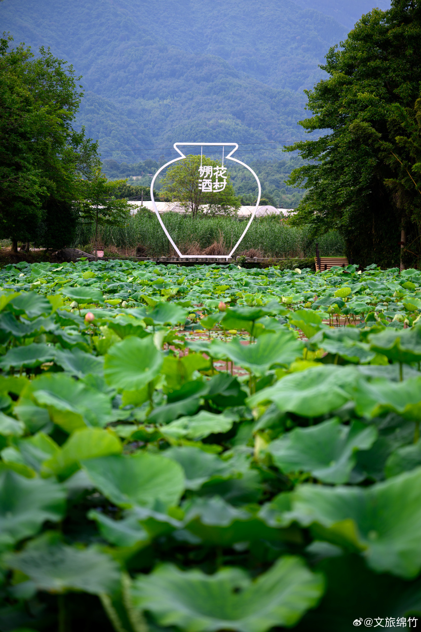 绵竹,这座历史悠久的城市,历经千年风雨,依旧散发着独特的魅力.