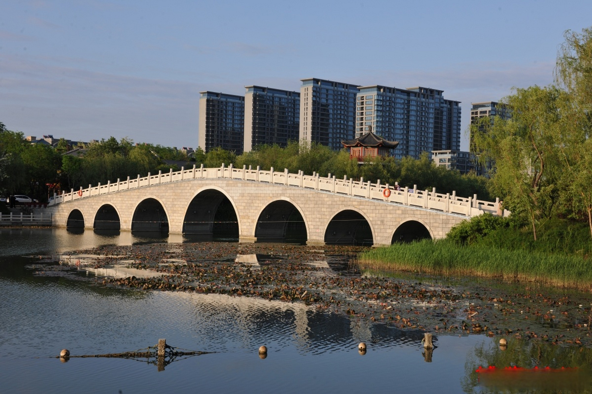 博览组图#【红莲湖雨后新景】4月23日,山东淄博,春雨后的桓台红莲