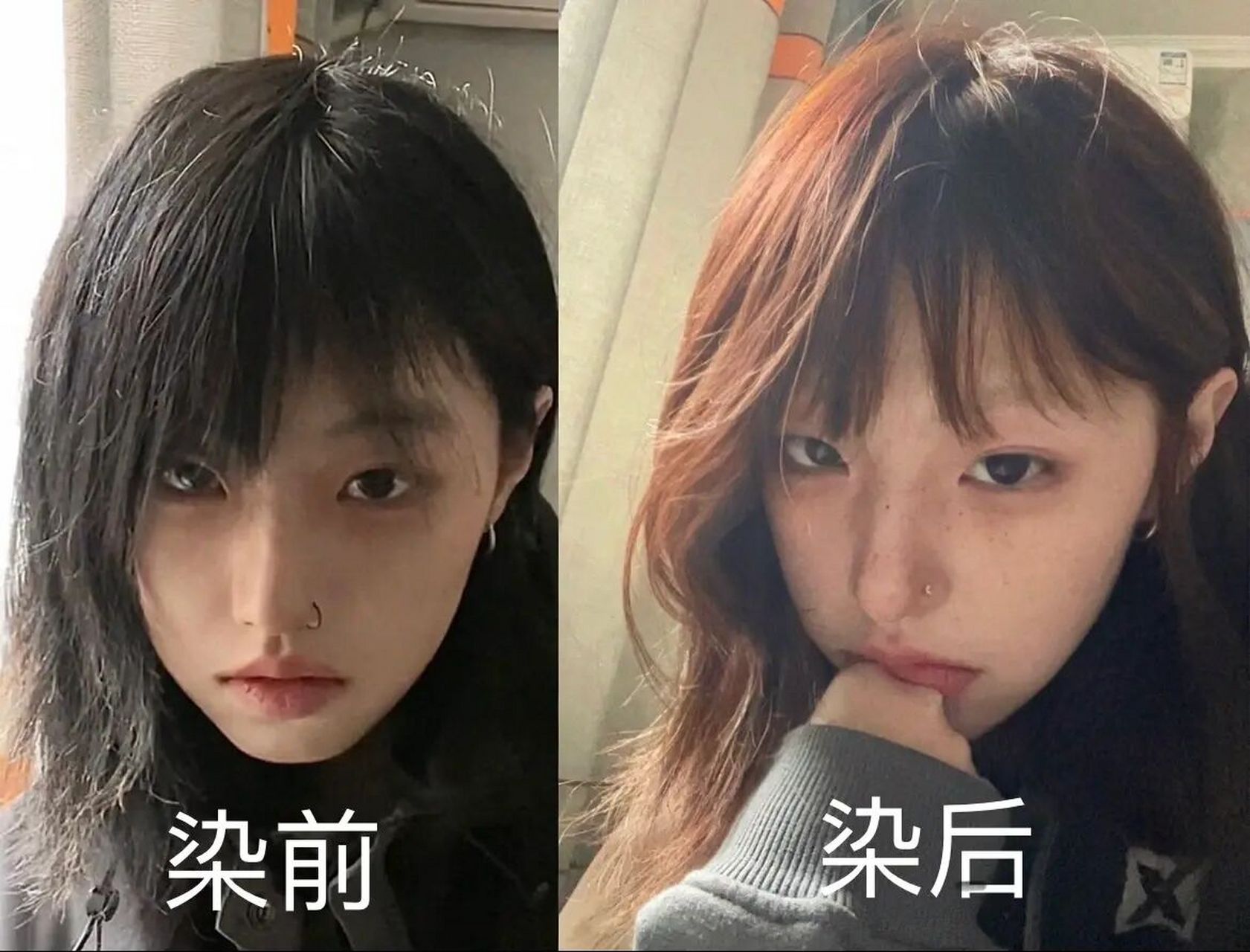 黑发直染奶茶米棕 (奶茶米粽)平价混血感发色!