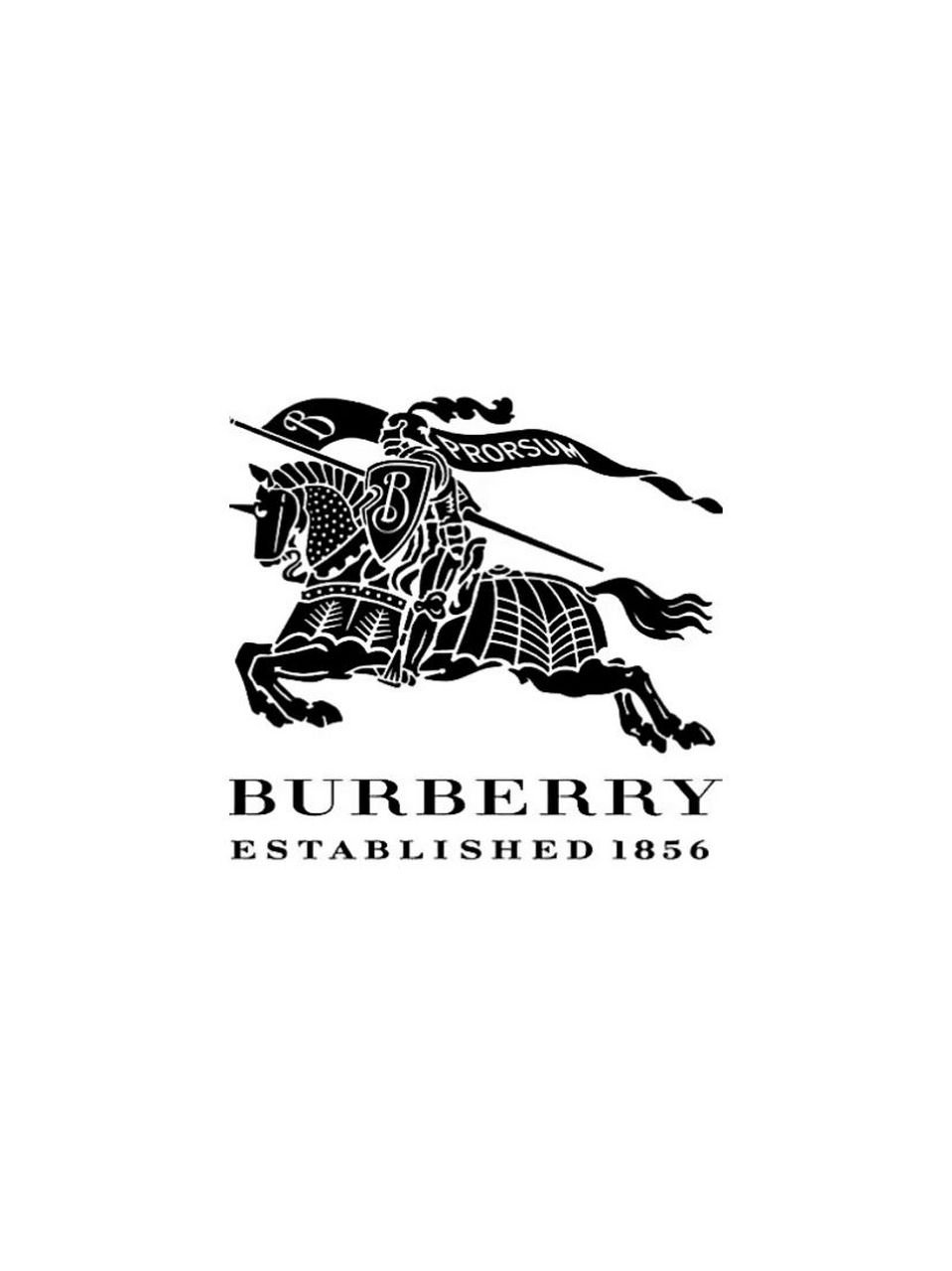 burberry新标志图片