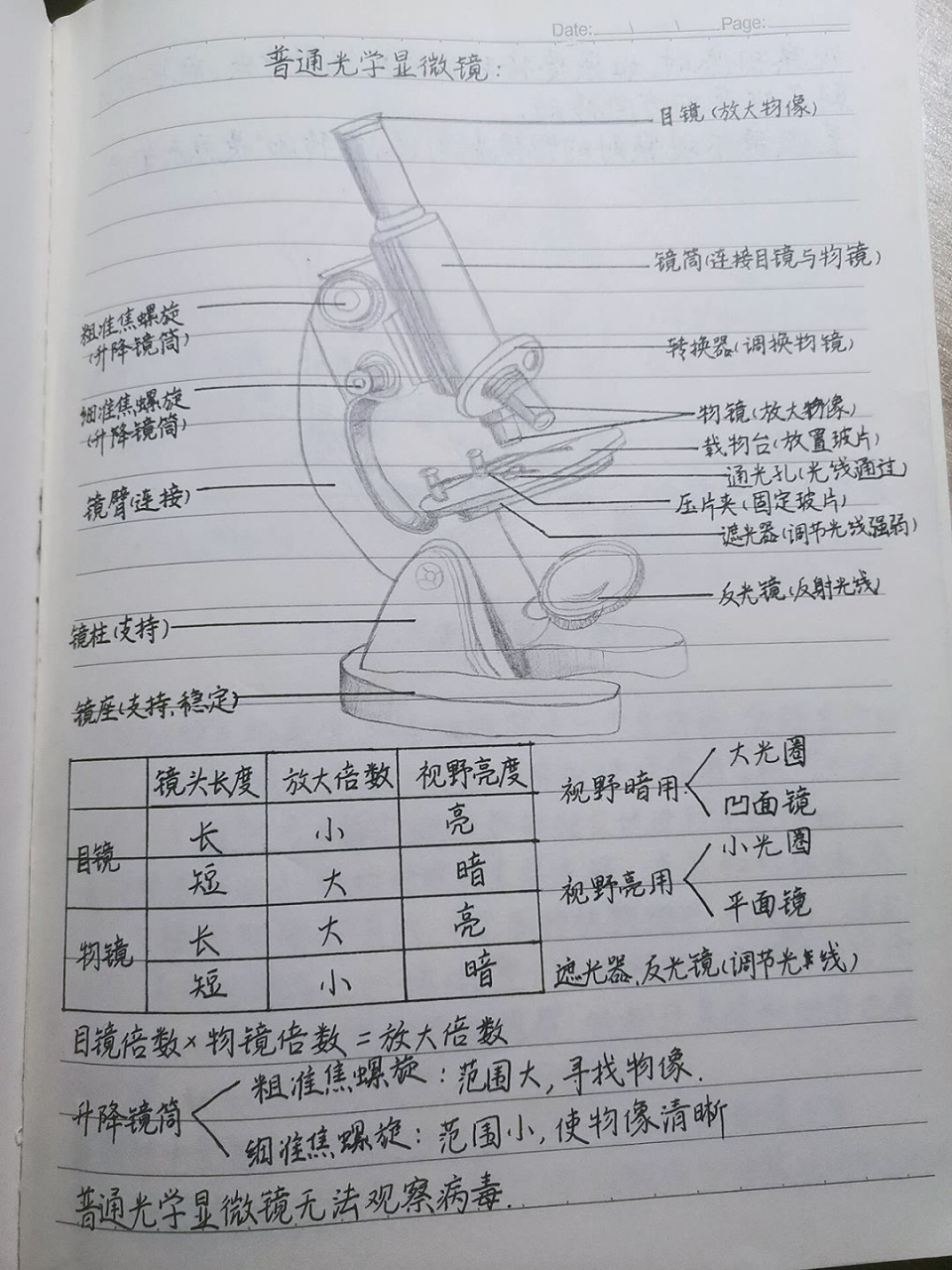 七年级生物笔记!寒假复习稳了 七年级上册生物学习笔记图