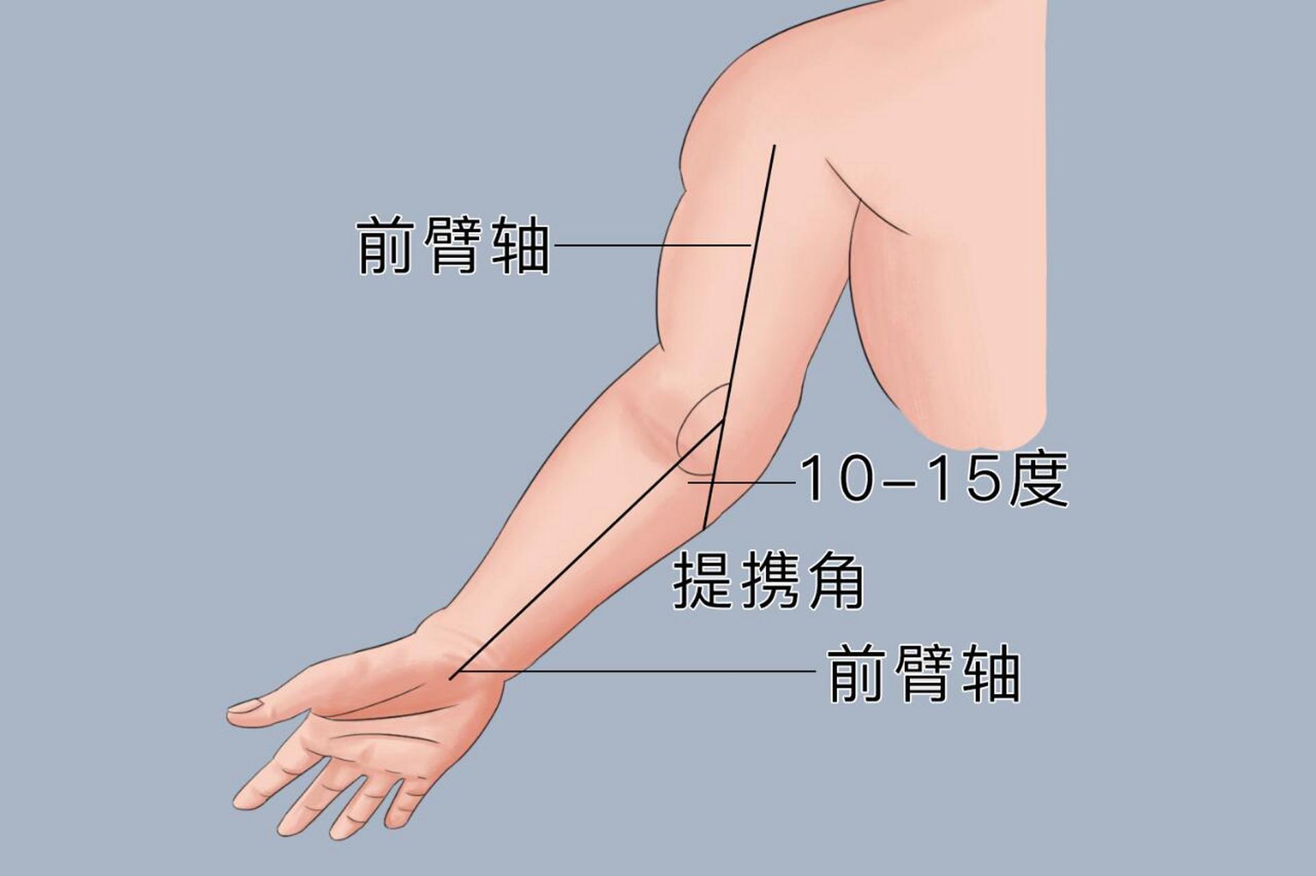 屈肘运动示意图图片