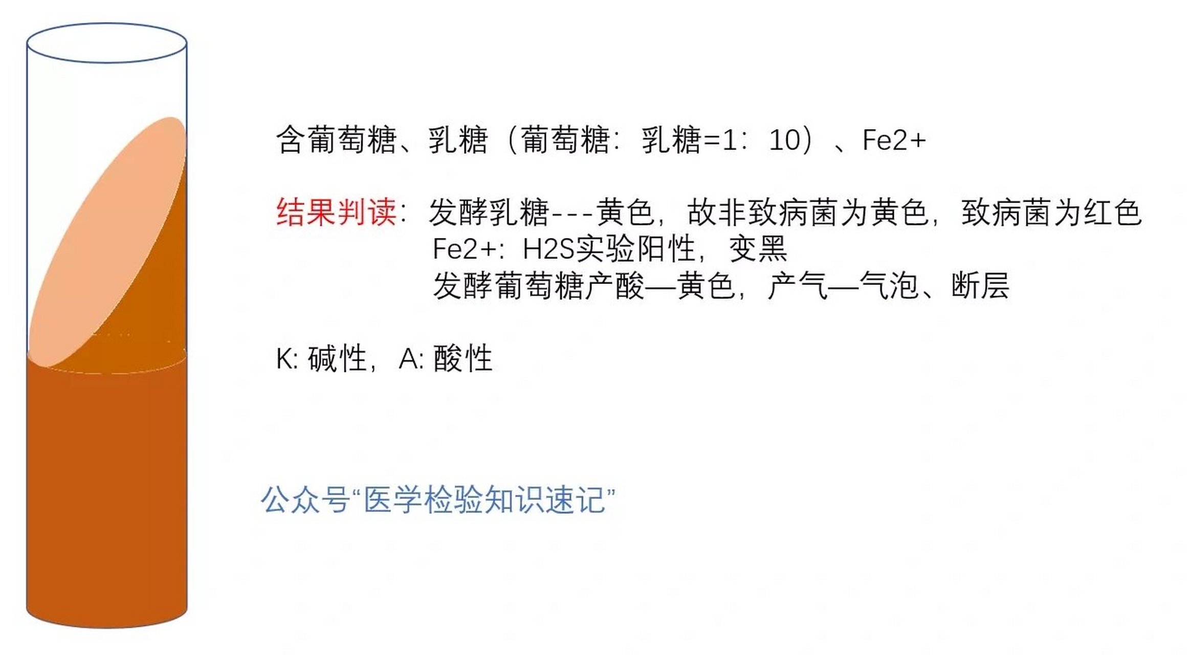 微生物学检验|克氏双糖铁(kia)结果判读 克氏双糖铁(kia)结果判读