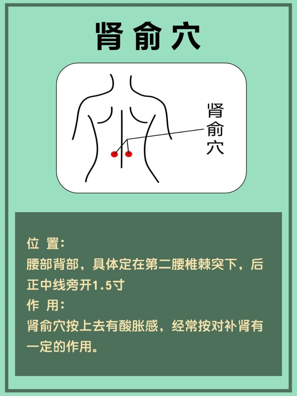 肾区的准确位置图片