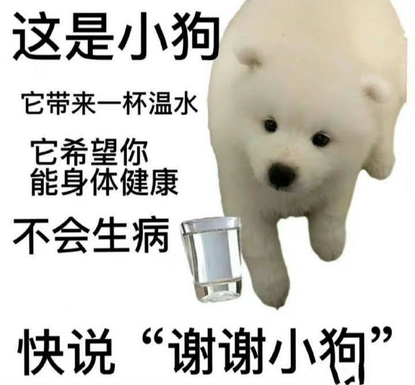 收集了一系列喝水表情包 加油一天喝够2000毫升呀!