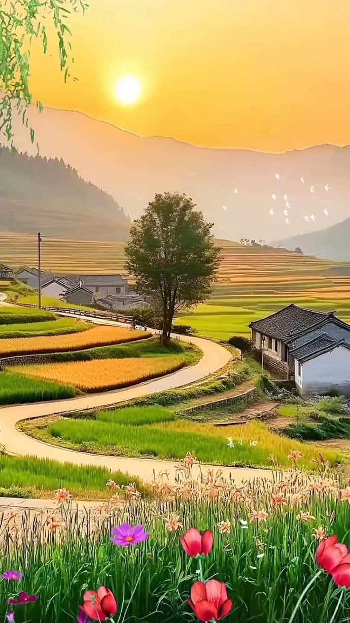 " 田园好风光,乡村如画卷