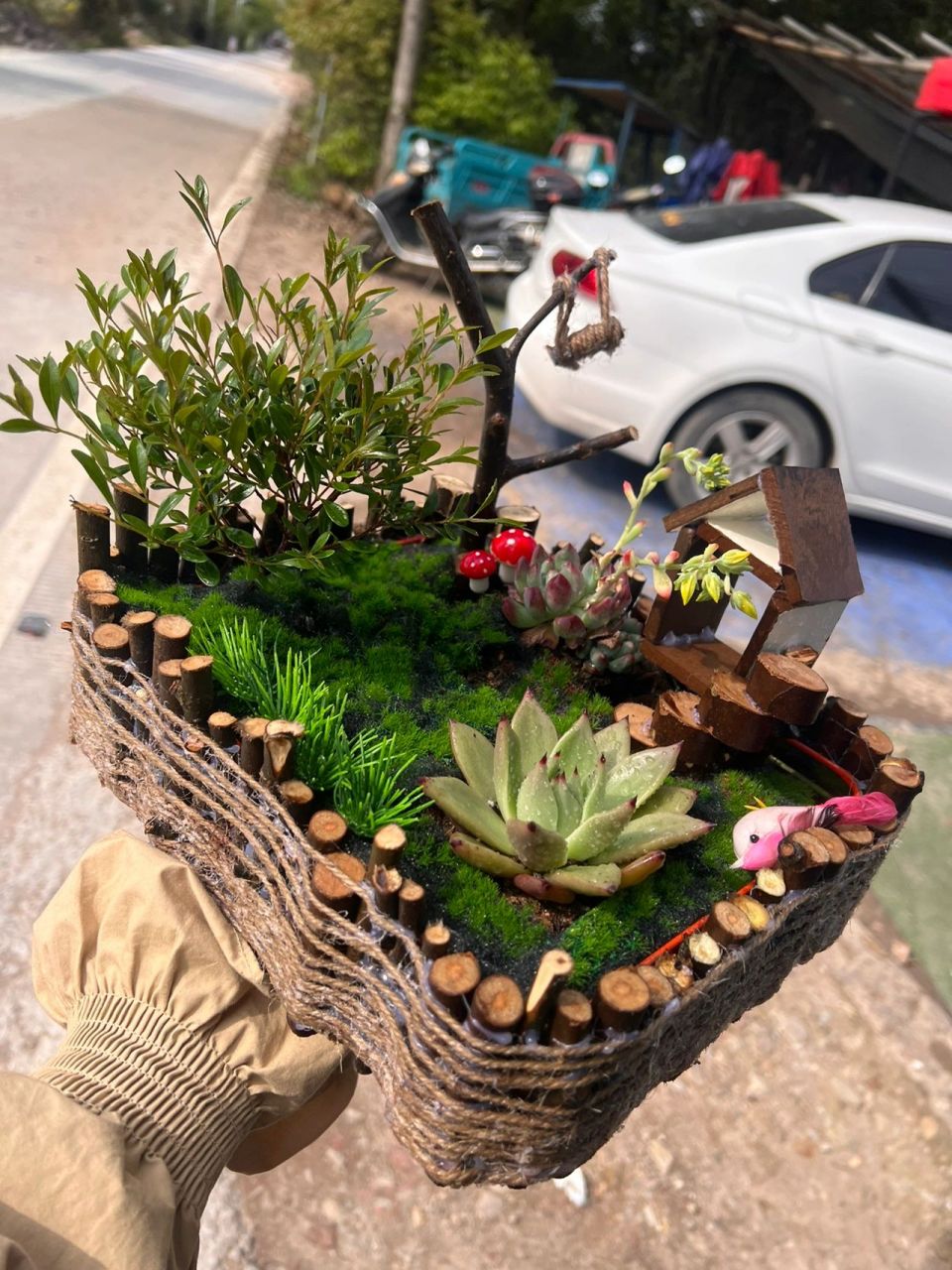 自制多肉花盆,废物利用 学校植树节作业,要求废物利用 看了基本上是