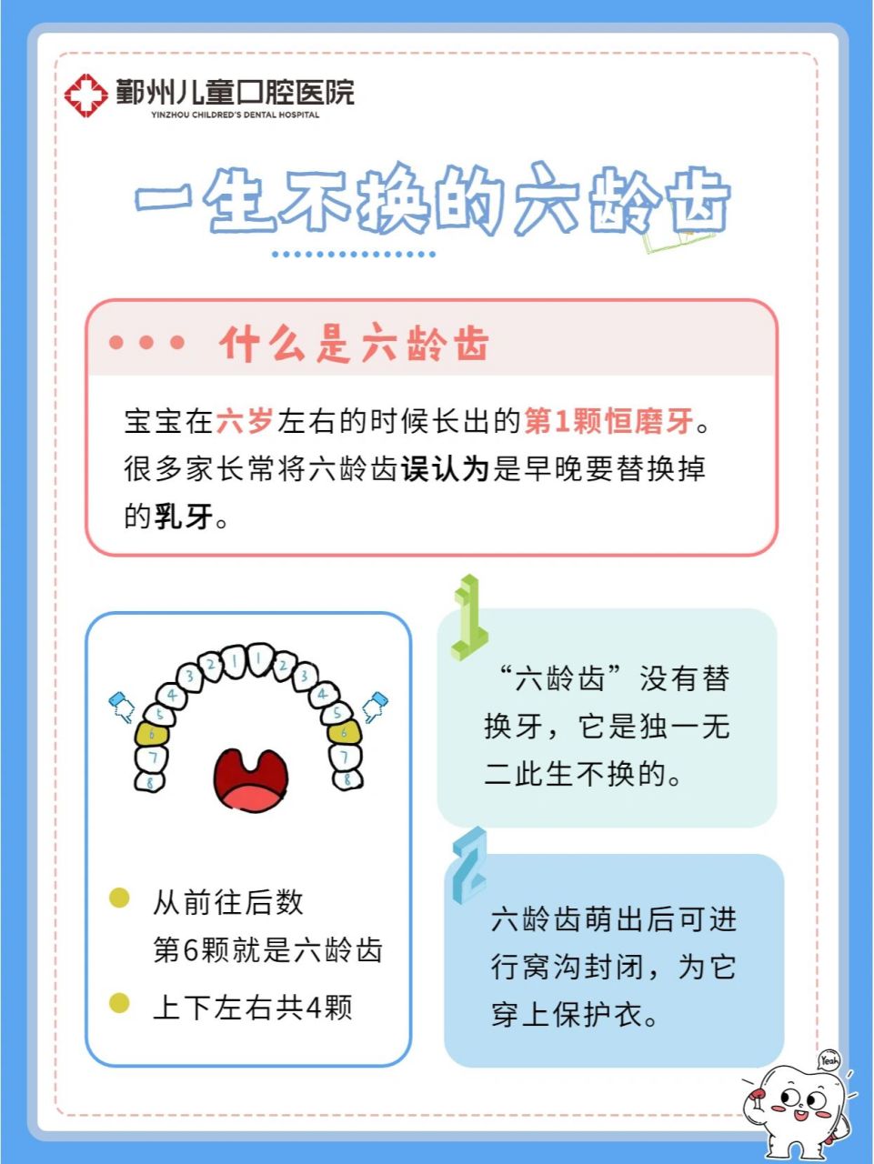 六龄齿不是乳牙是恒牙02一生不换6015 很多家长以为孩子小时候