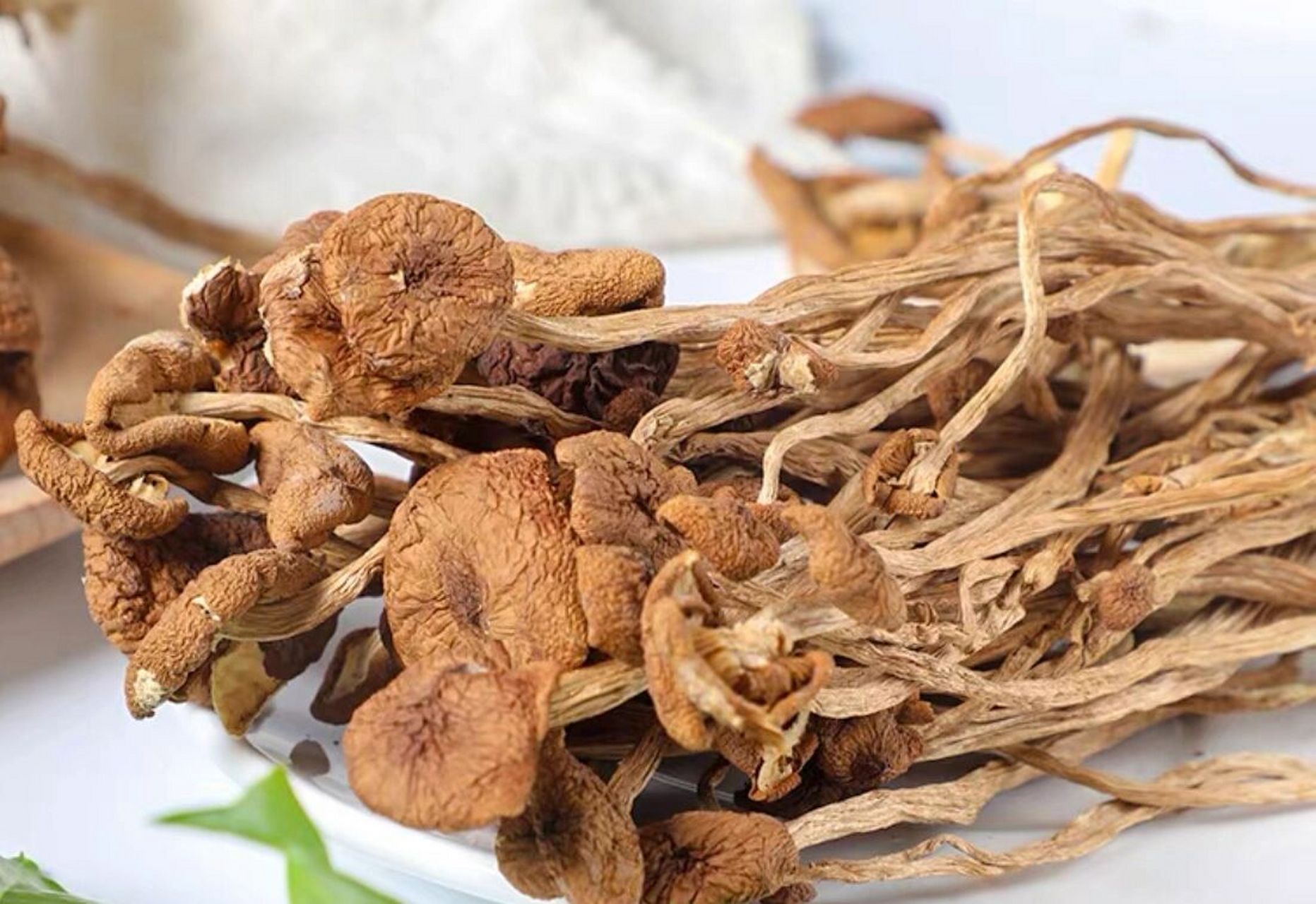 武陵山珍～科普|食用菌 茶树菇 茶树菇是一种食药用菌.