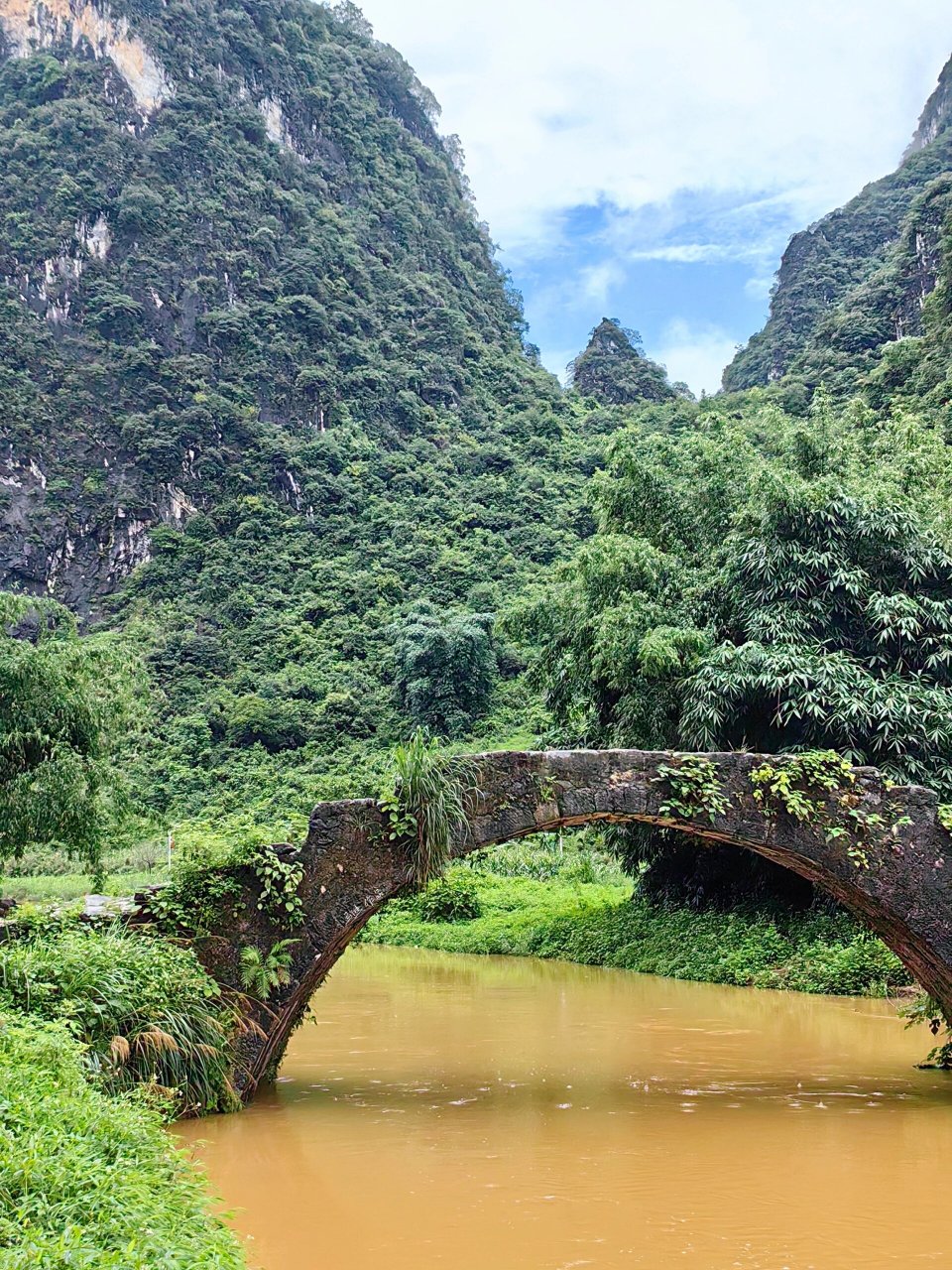 英德,永丰 广东省清远市英德市黄花镇永丰村,喀斯特地貌的英西峰林中