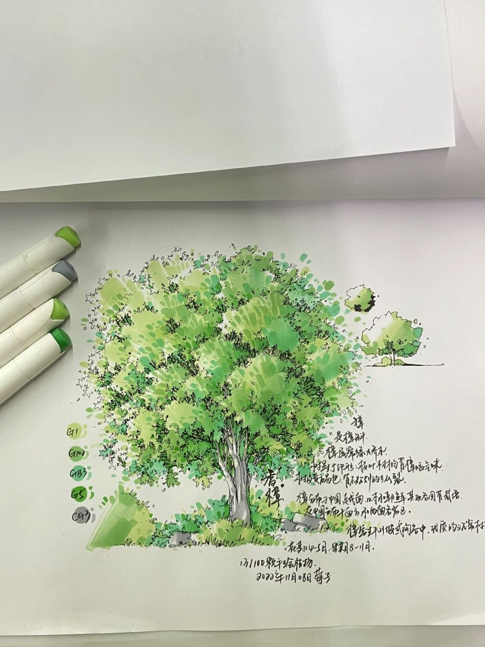 马克笔画树用什么色号图片
