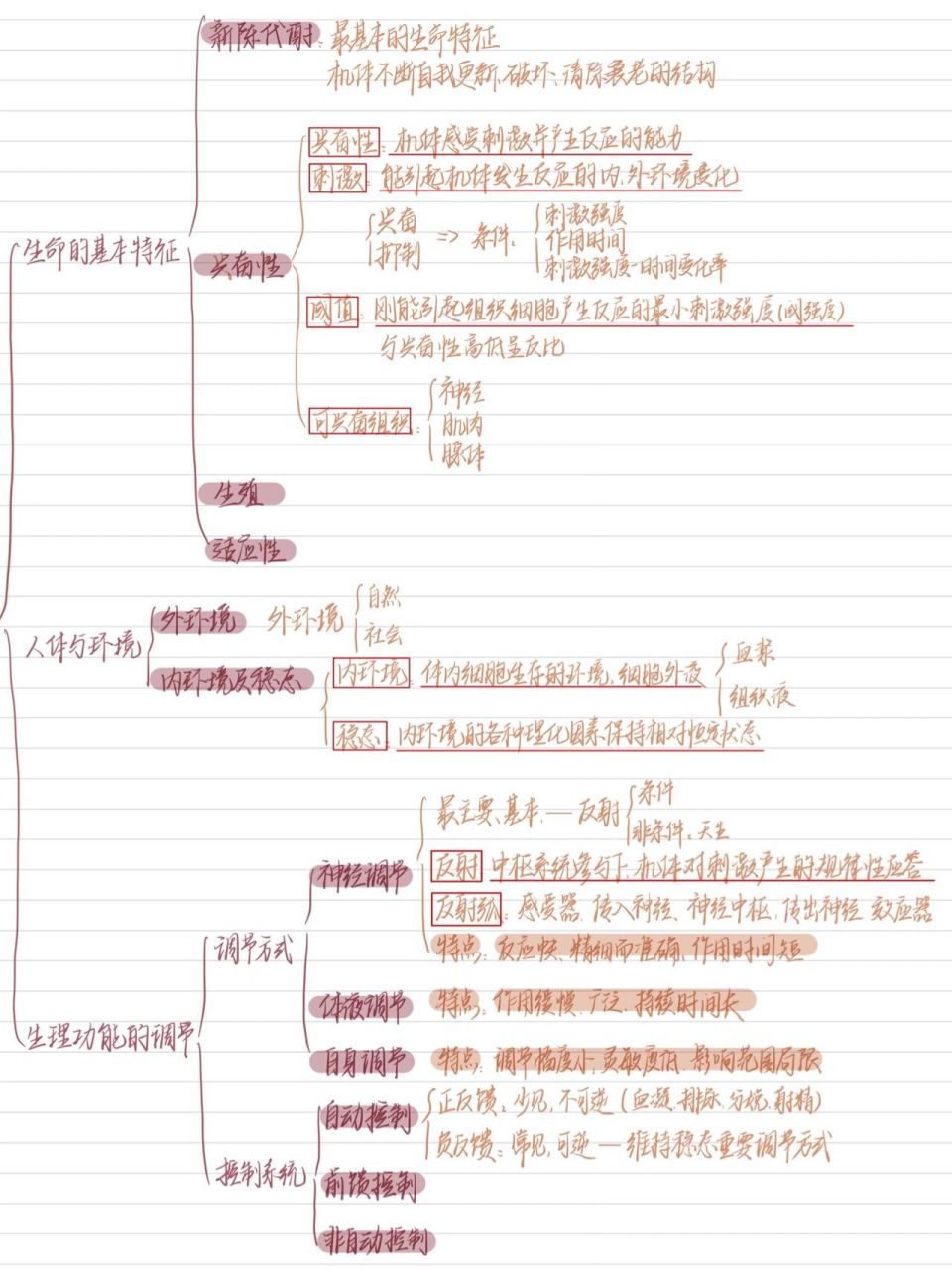 内环境思维导图图片