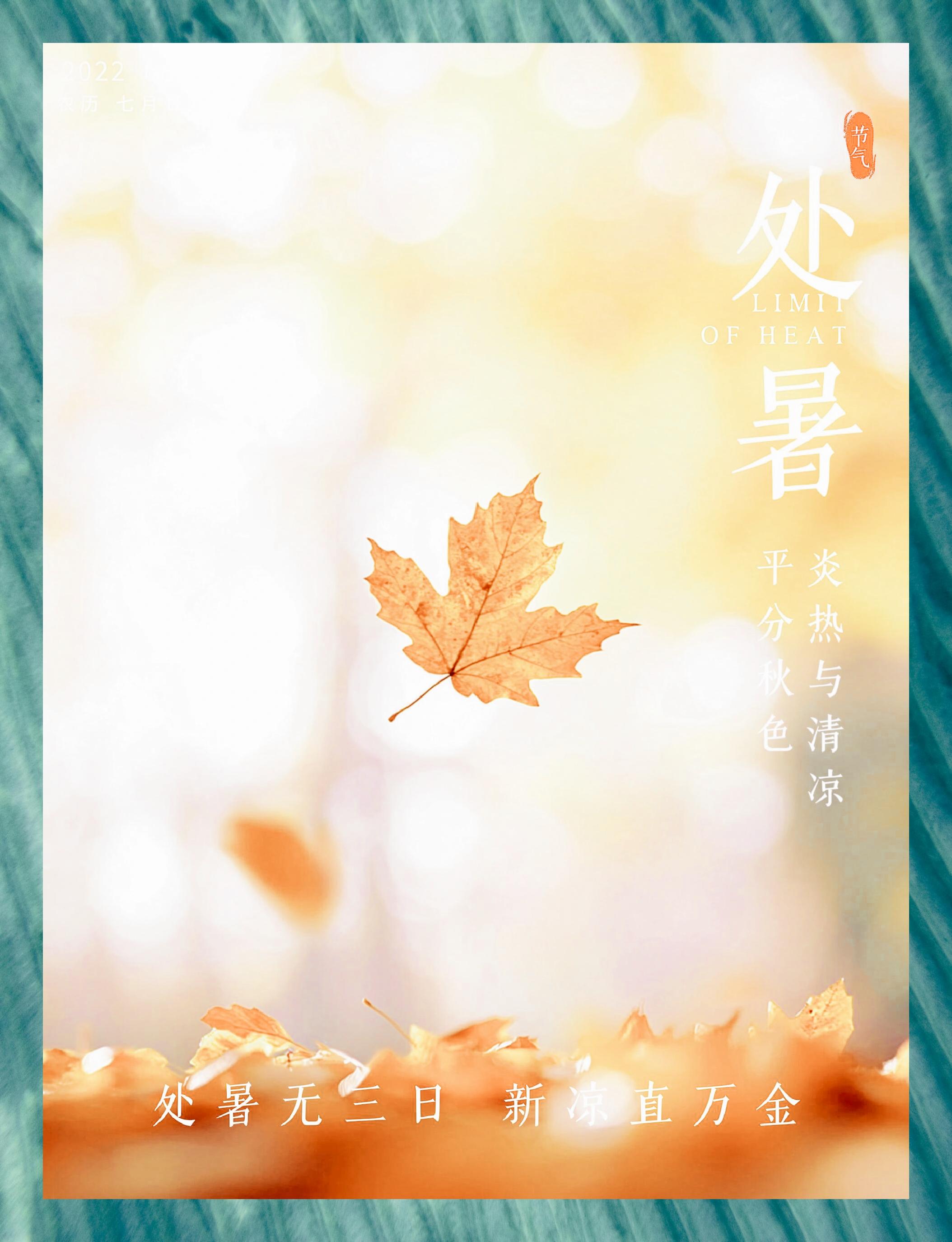 文案&素材精选  处暑至,秋意渐浓,让我们共同拥抱这个凉爽的节气吧!