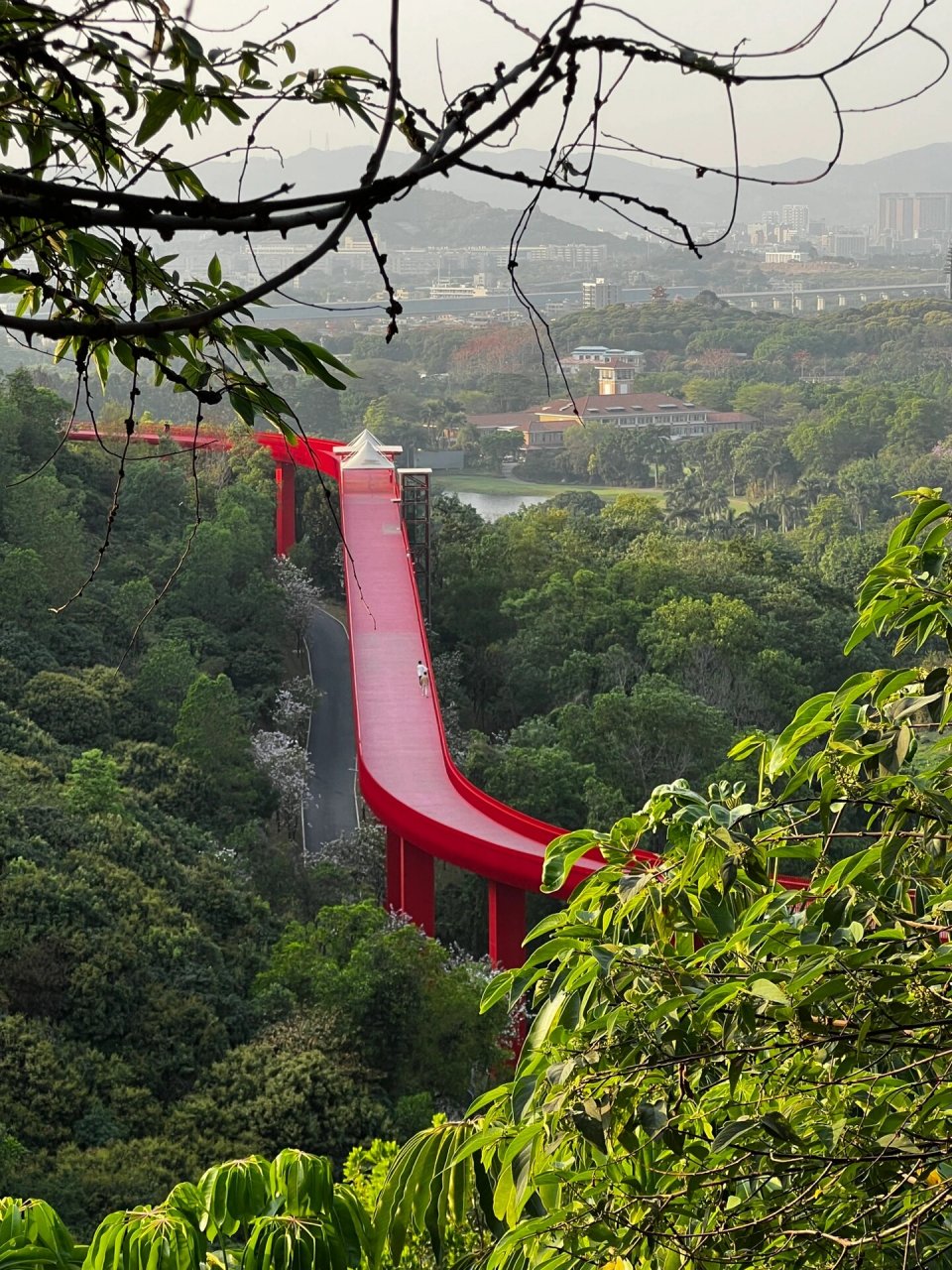 深圳光明彩虹桥 這是一個網紅地方, 紅燦燦的鐵橋圍繞著山而建, 紅色