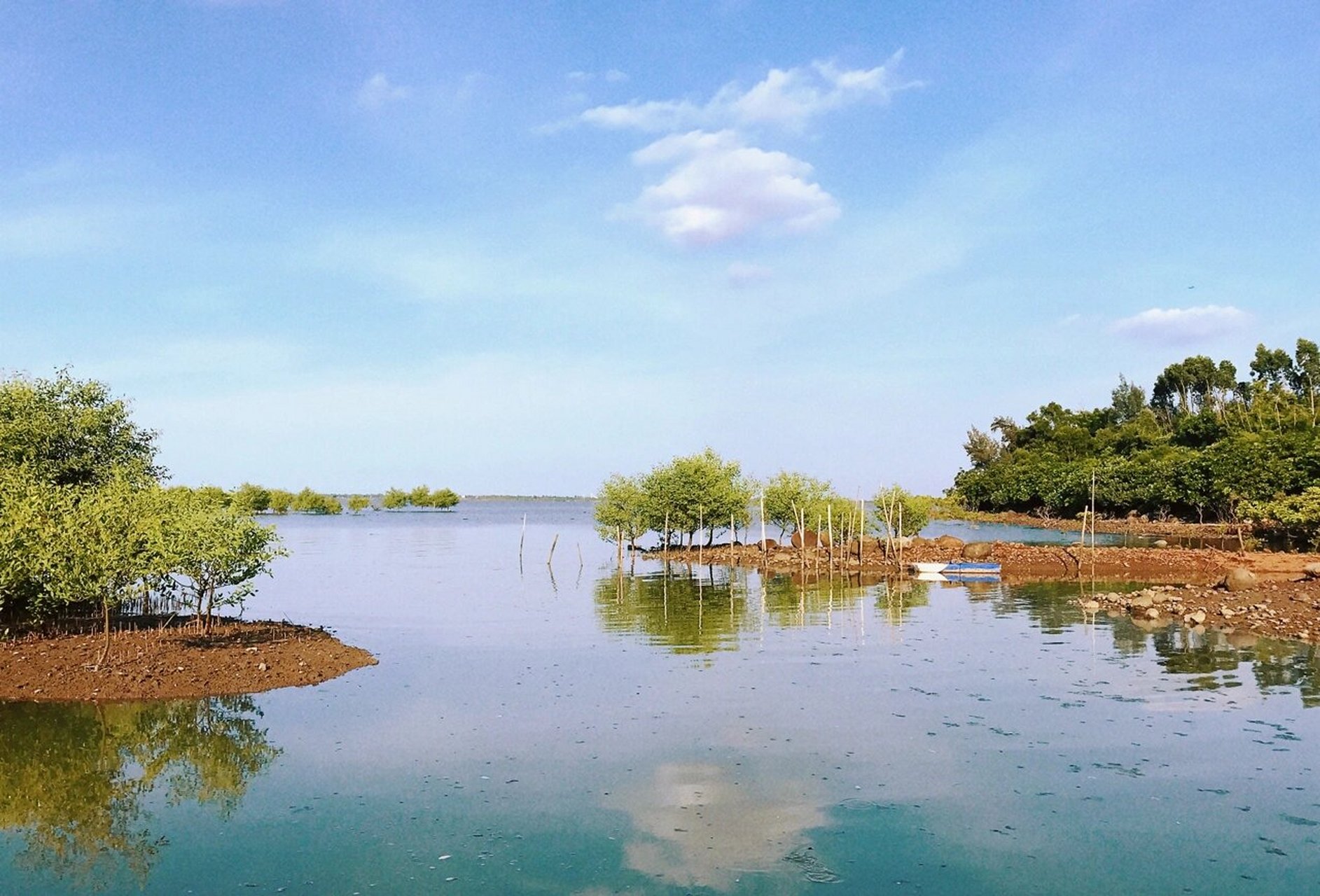 海口市红树林景区图片