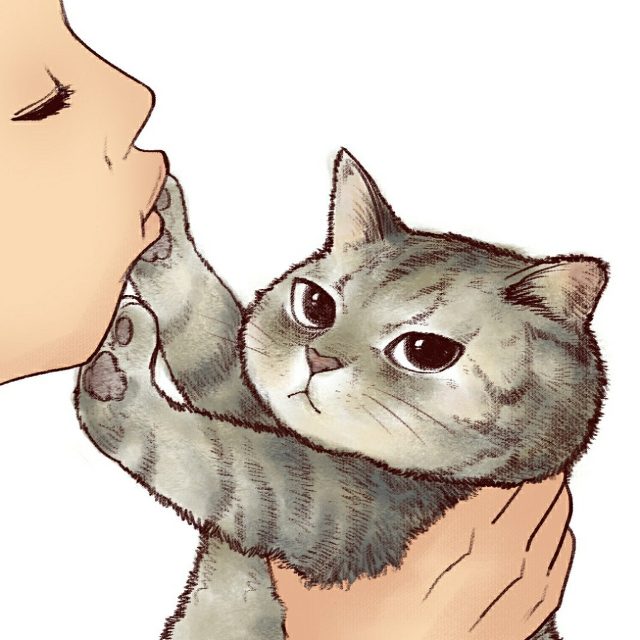 《铲屎官请自重》第一季 元宵节快乐分别是灰狸花  奶牛猫 加菲 折耳