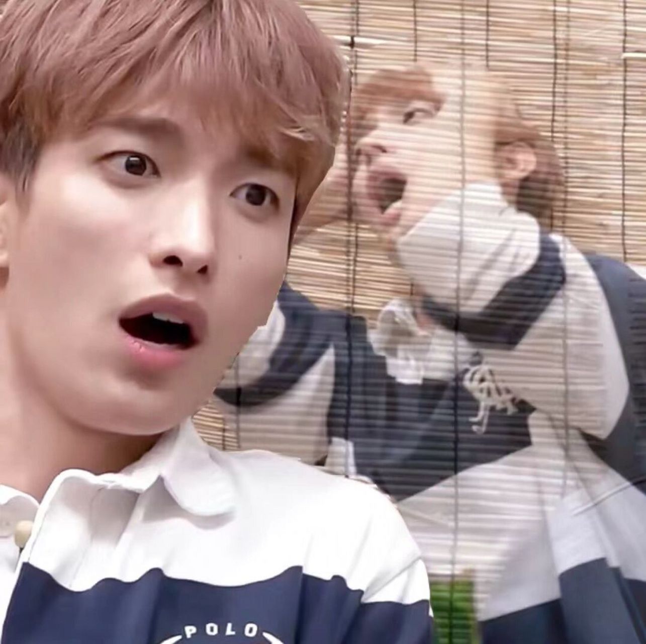 李硕珉表情包! 求一个都是dk表情包的评论区哈哈哈哈哈